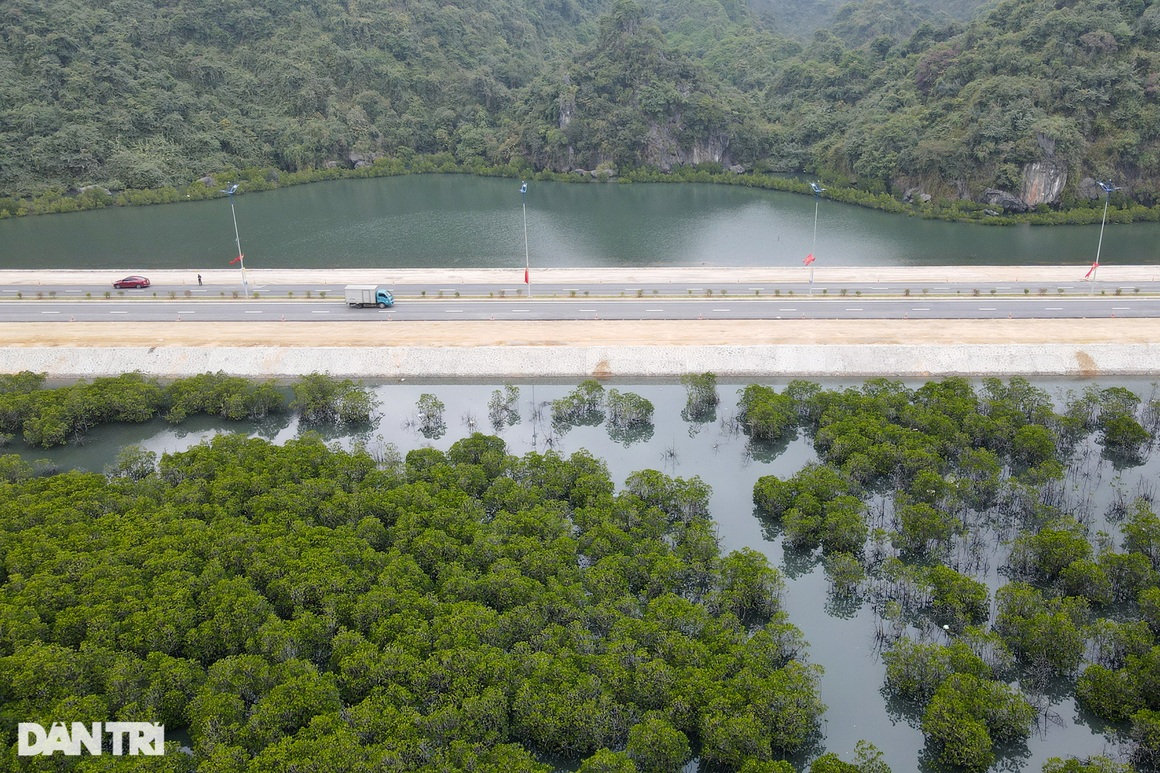 Panorama of the sea route through Ha Long Bay - 6