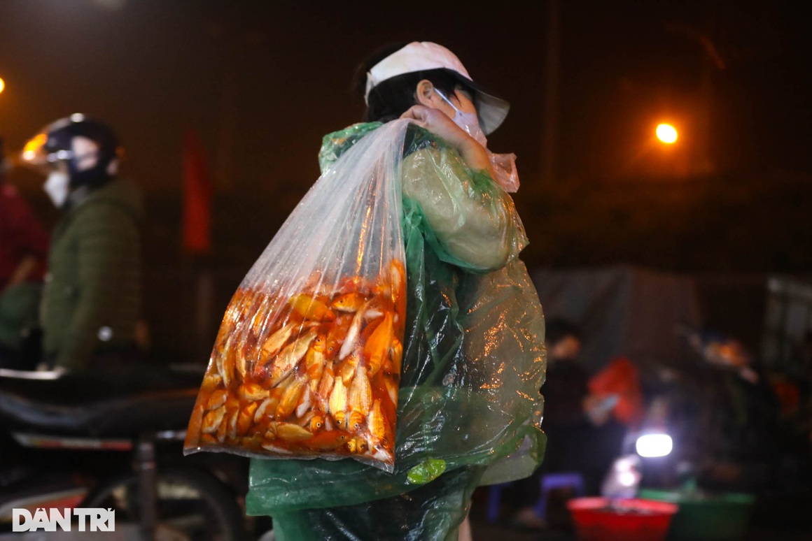 Chợ cá Yên Sở rực sắc đỏ, nhộn nhịp bán xuyên đêm ngày ông Táo về trời - 11 Chợ cá Yên Sở rực sắc đỏ, nhộn nhịp bán xuyên đêm ngày ông Táo về trời - 11