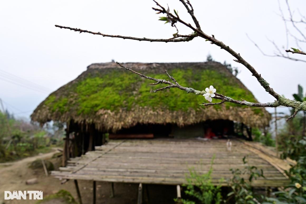 Strangely beautiful village with dozens of houses on stilts covered with green moss in Ha Giang - 14