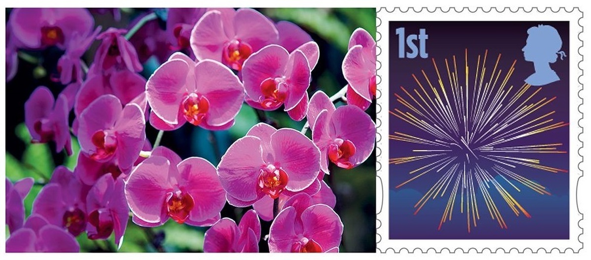 Vẻ đẹp của những con tem tưng bừng đ&oacute;n năm Kỷ Hợi - Ảnh 21.