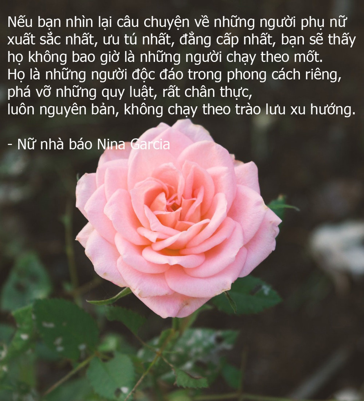 Ng&agrave;y Quốc tế Phụ nữ, đọc những c&acirc;u n&oacute;i hay về phụ nữ - Ảnh 7.