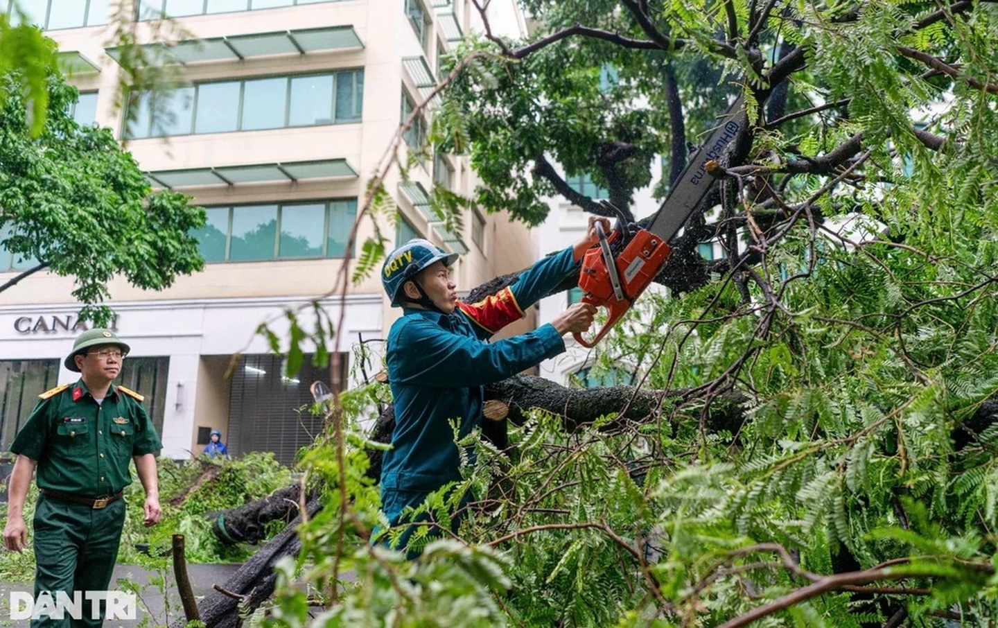 Hanoi to clear 2,600 trees for belt road interchange project