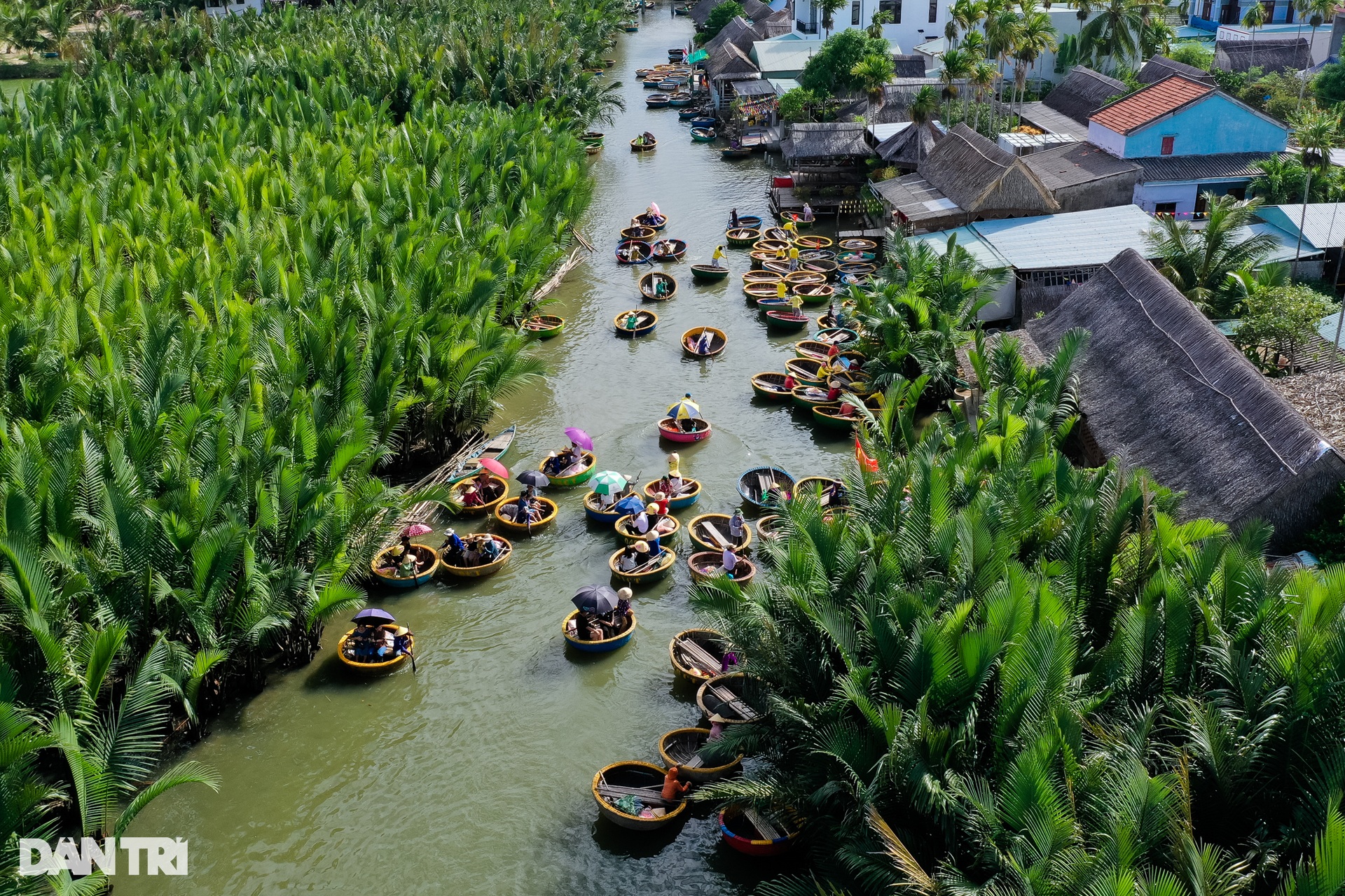 Trải nghiệm lắc thúng bồng bềnh trên sông nước ở rừng dừa Quảng Nam - 9
