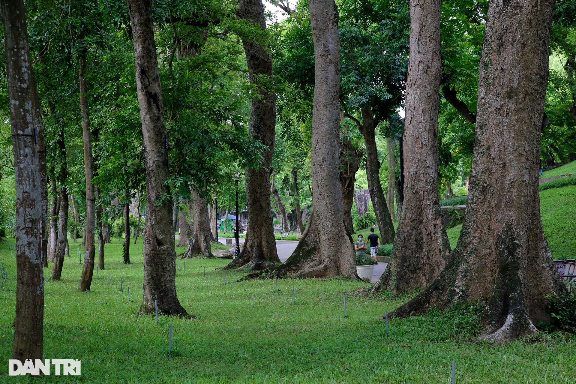 Những không gian xanh tuyệt đẹp của Thủ đô - 1 Những không gian xanh tuyệt đẹp của Thủ đô - 1