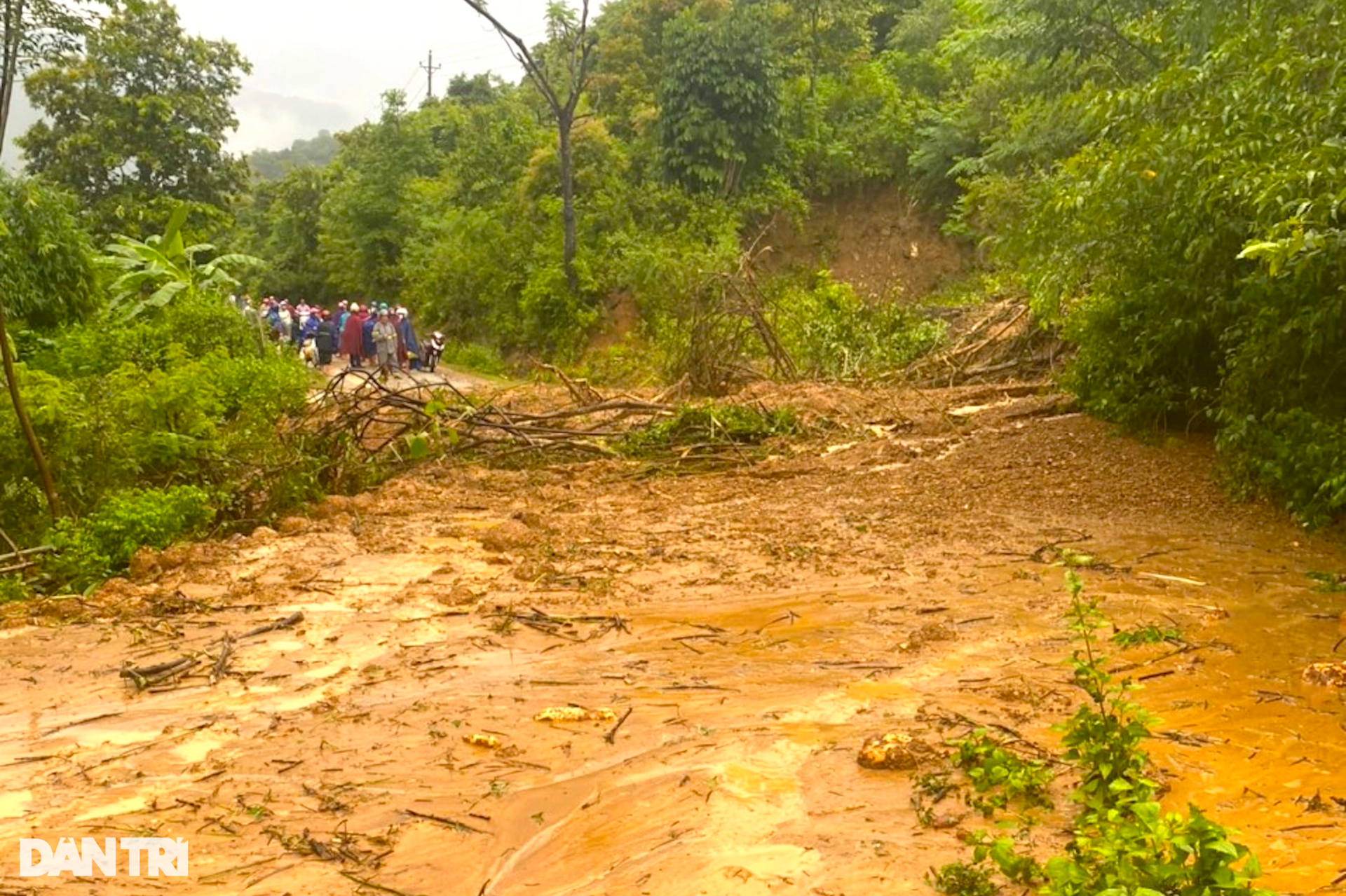 Cảnh lũ ống tàn phá huyện nghèo biên giới Nghệ An - 8