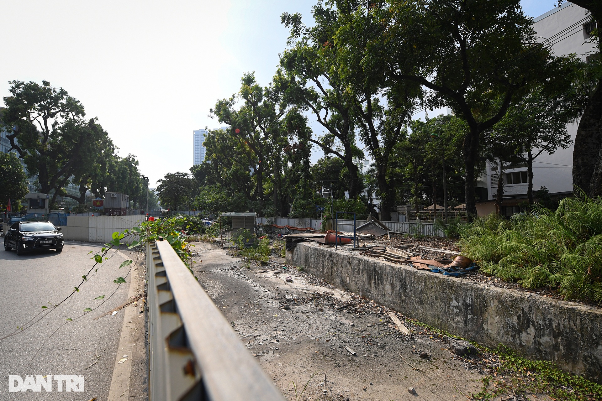 Cỏ cây mọc um tùm trên đại công trường dự án metro Nhổn - ga Hà Nội - 6