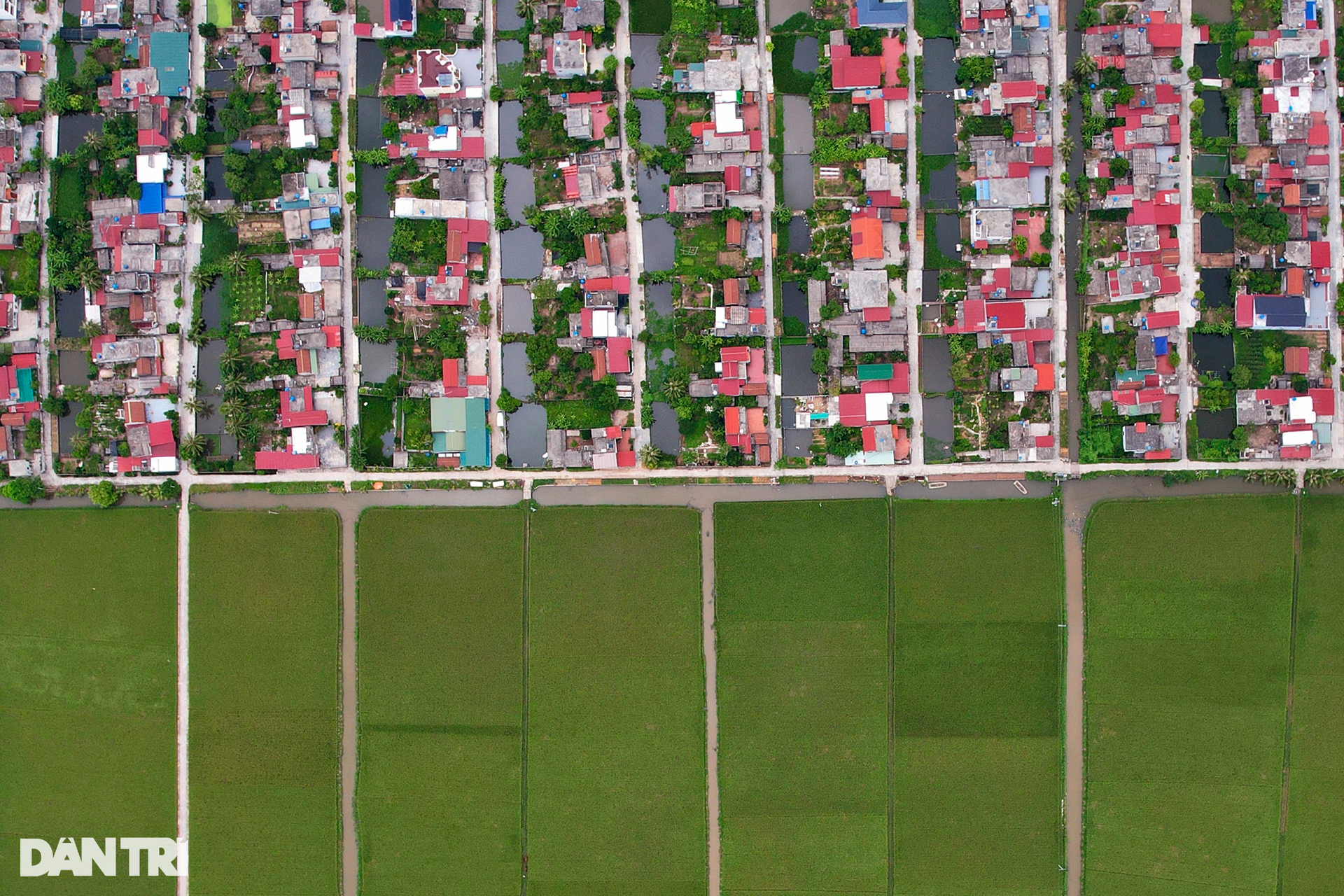 Quy hoạch bàn cờ khu dân cư đẹp như tranh ở làng ven biển Thái Bình - 6