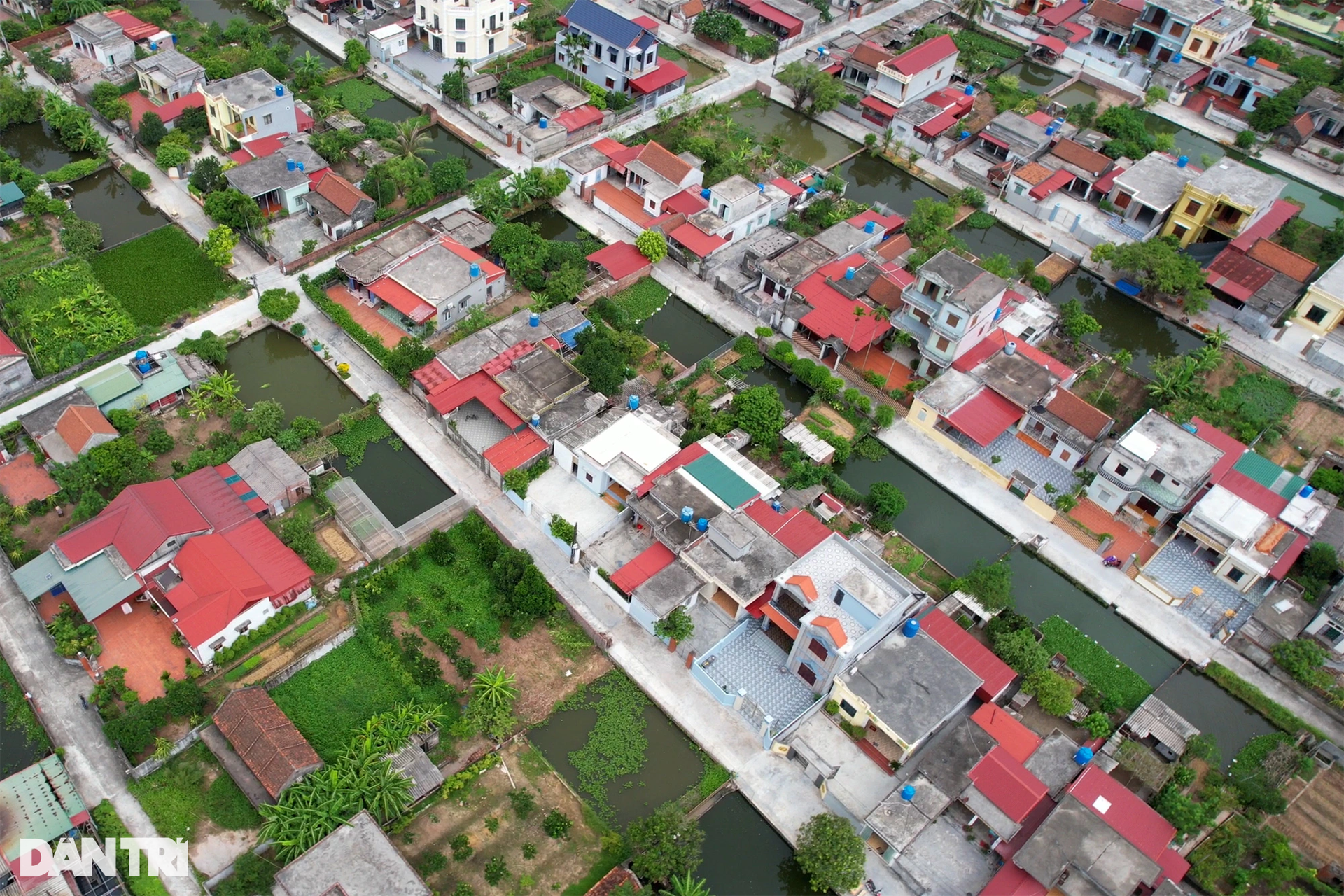 Quy hoạch bàn cờ khu dân cư đẹp như tranh ở làng ven biển Thái Bình - 9