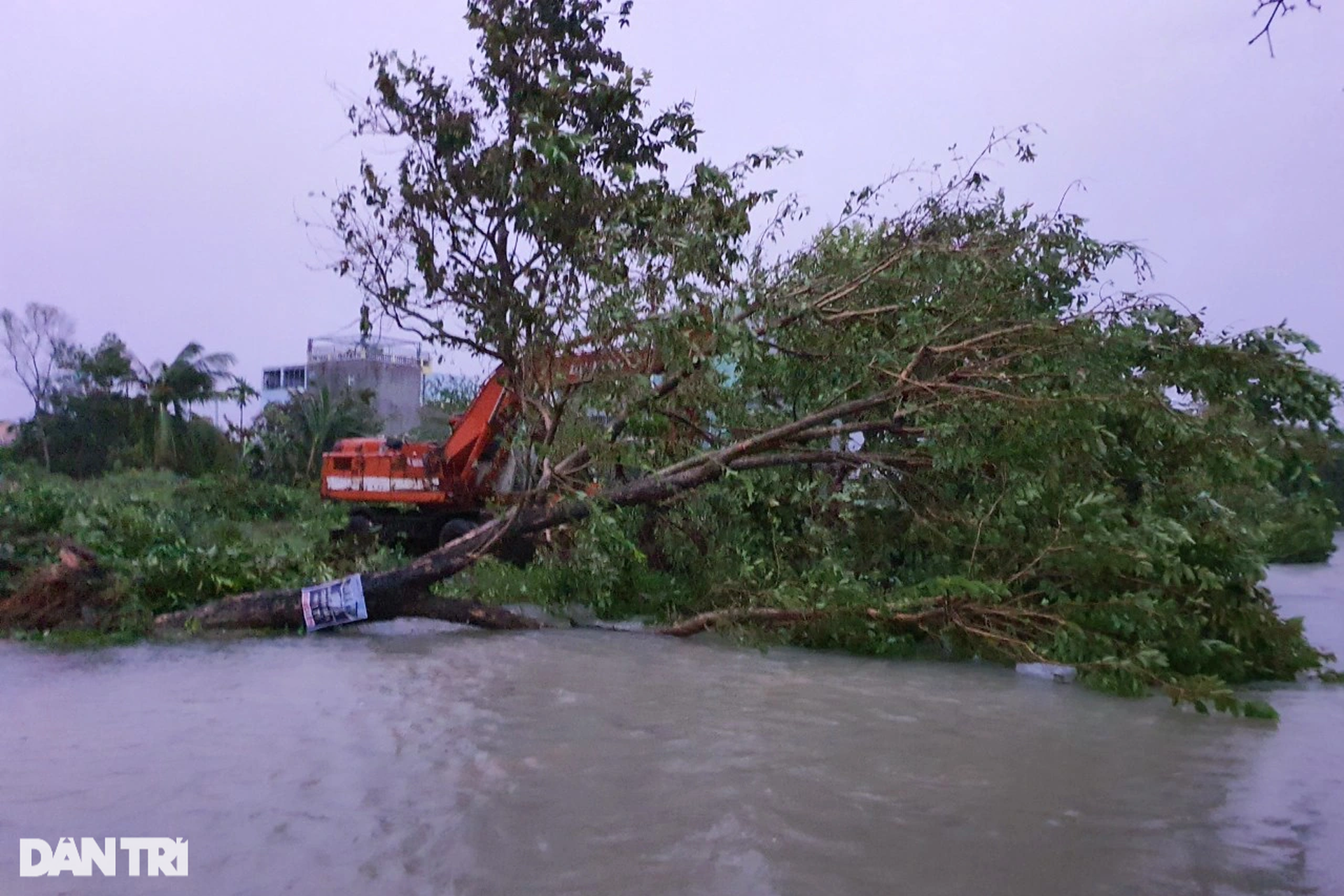 Khung cảnh hoang tàn, tôn bay khắp trời khi bão quét qua TP Đà Nẵng, Hội An - 21