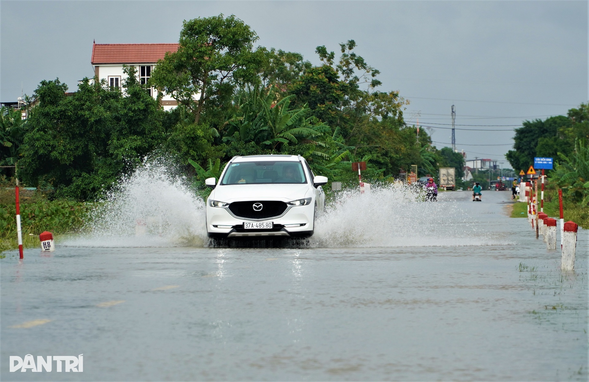 Người dân quay cuồng trong lũ, đàn vịt nghìn con ở nhờ nhà văn hóa - 2 Người dân quay cuồng trong lũ, đàn vịt nghìn con ở nhờ nhà văn hóa - 2