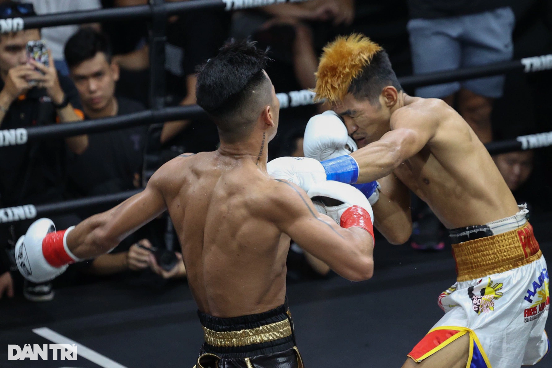 Võ sĩ Trần Văn Thảo hạ knock-out đối thủ để giành đai vô địch IBA thế giới - 4 Võ sĩ Trần Văn Thảo hạ knock-out đối thủ để giành đai vô địch IBA thế giới - 4