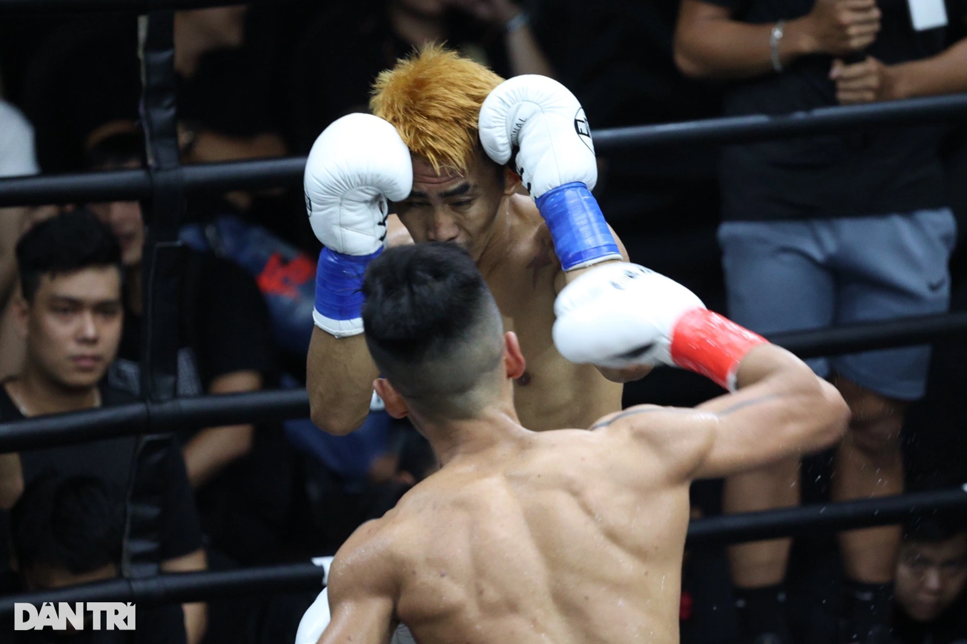 Võ sĩ Trần Văn Thảo hạ knock-out đối thủ để giành đai vô địch IBA thế giới - 5 Võ sĩ Trần Văn Thảo hạ knock-out đối thủ để giành đai vô địch IBA thế giới - 5