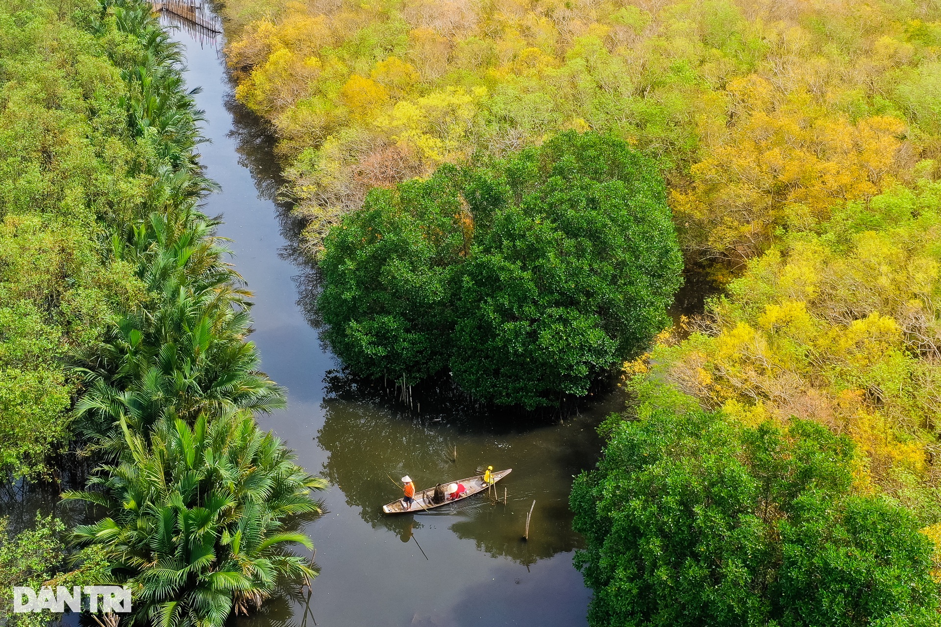 Golden season in Ru Cha mangrove forest - 10
