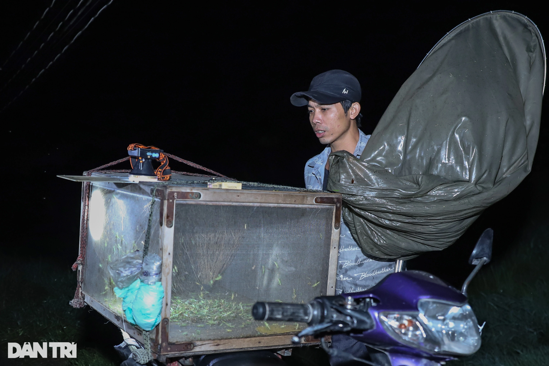 Make millions per night thanks to racquets and locusts on the grasslands of Ho Chi Minh City - 6