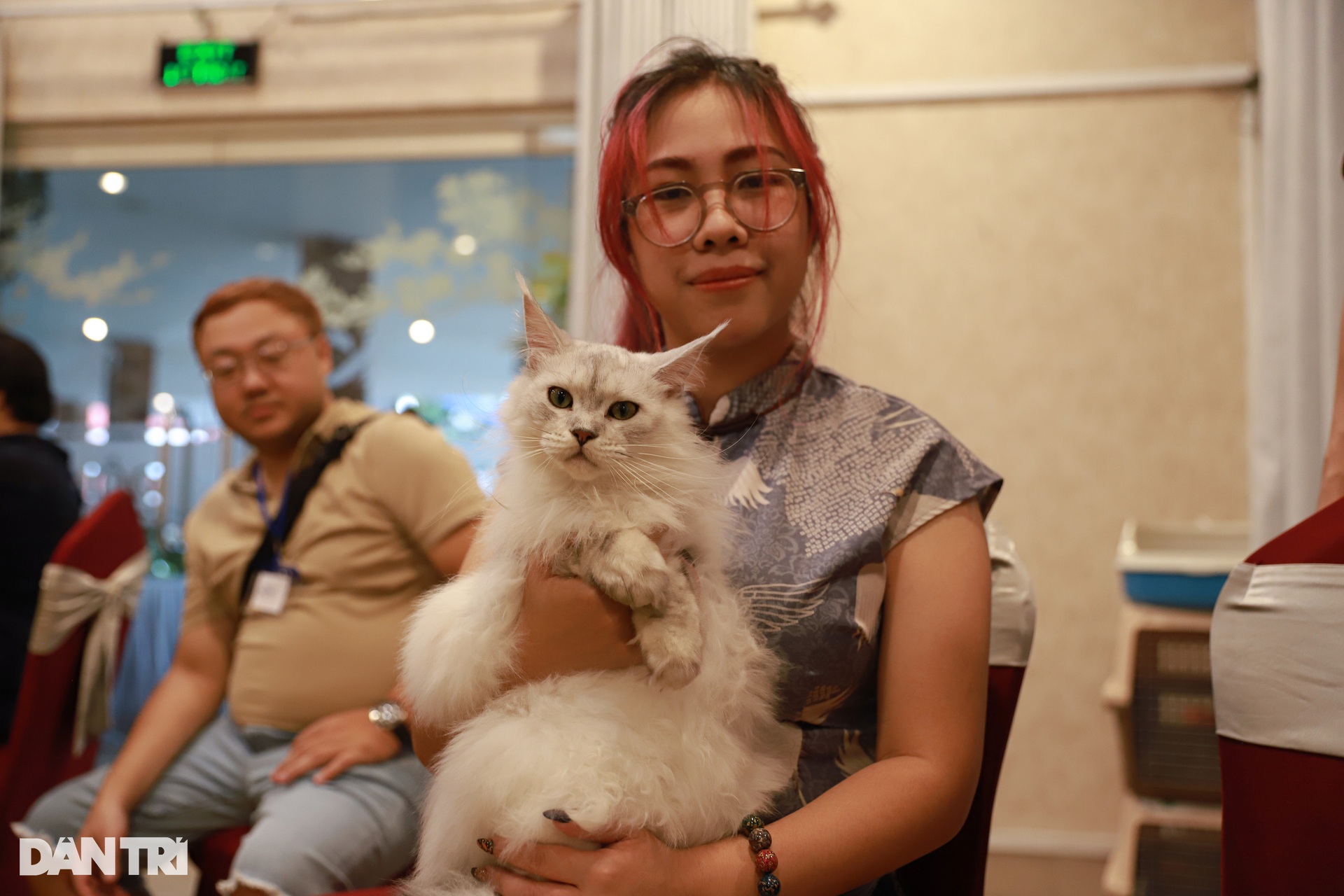 นำแมวมูลค่าเกือบพันล้านดองไปเวียดนามเพื่อประกวดนางงาม - 5 นำแมวมูลค่าเกือบพันล้านดองไปเวียดนามเพื่อประกวดนางงาม - 5