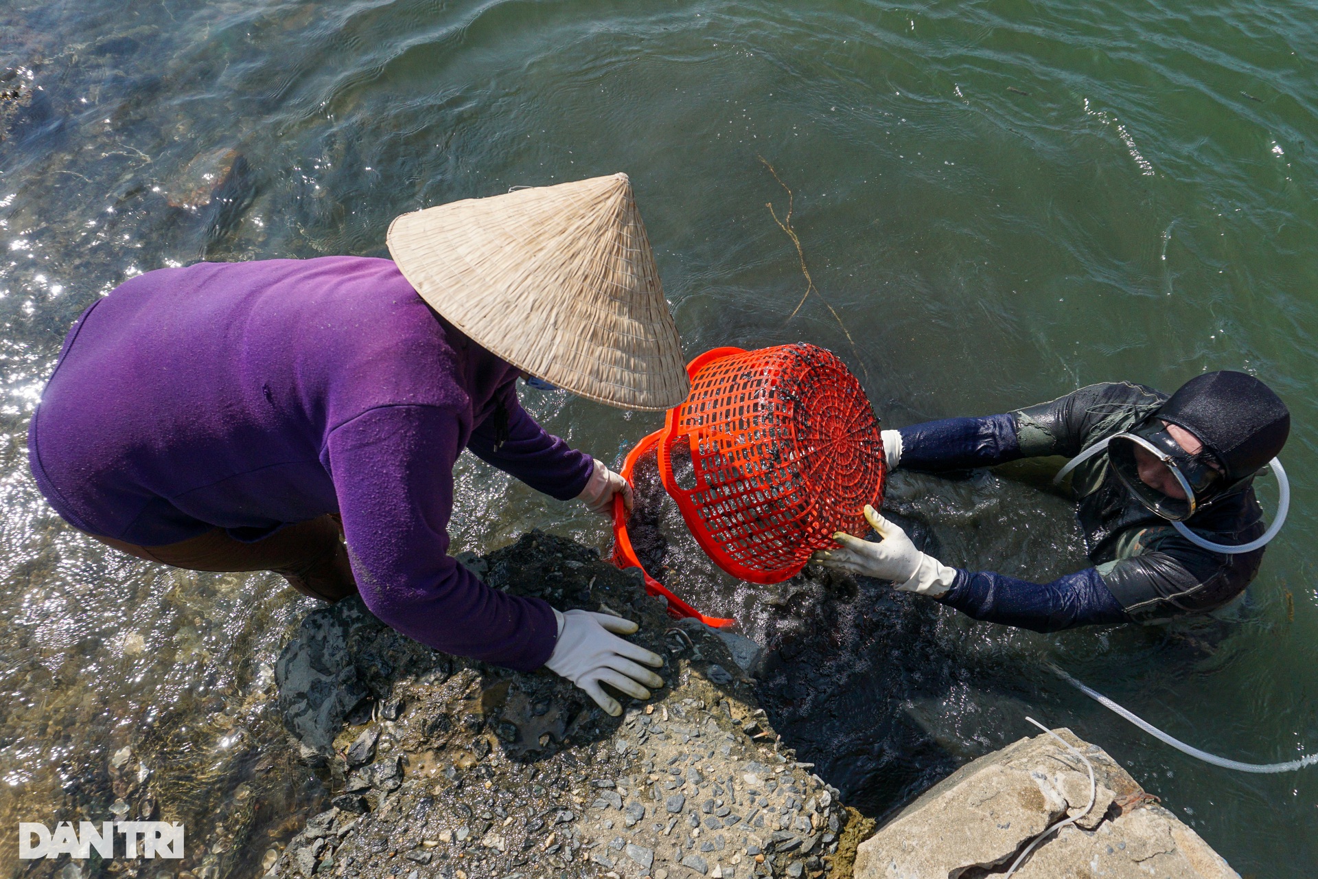 Tie 10kg of iron chains to the body, dive to the riverbed to hunt for manes - 10