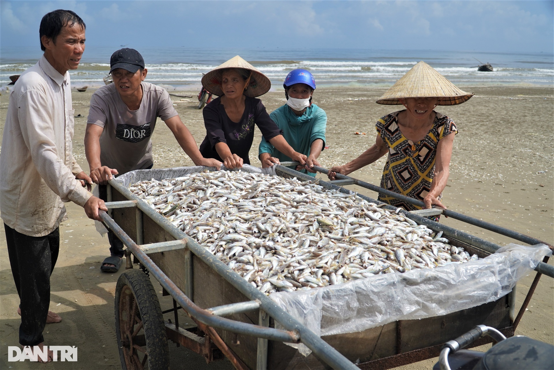 Fishermen teamed up to go backwards to pull a record catch weighing 4 tons - 11