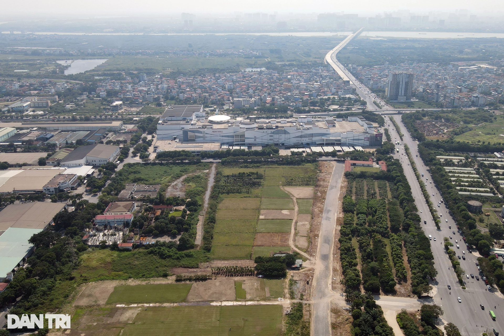 Công viên công nghệ thông tin sát AEON MALL Long Biên đang để cỏ mọc - 6