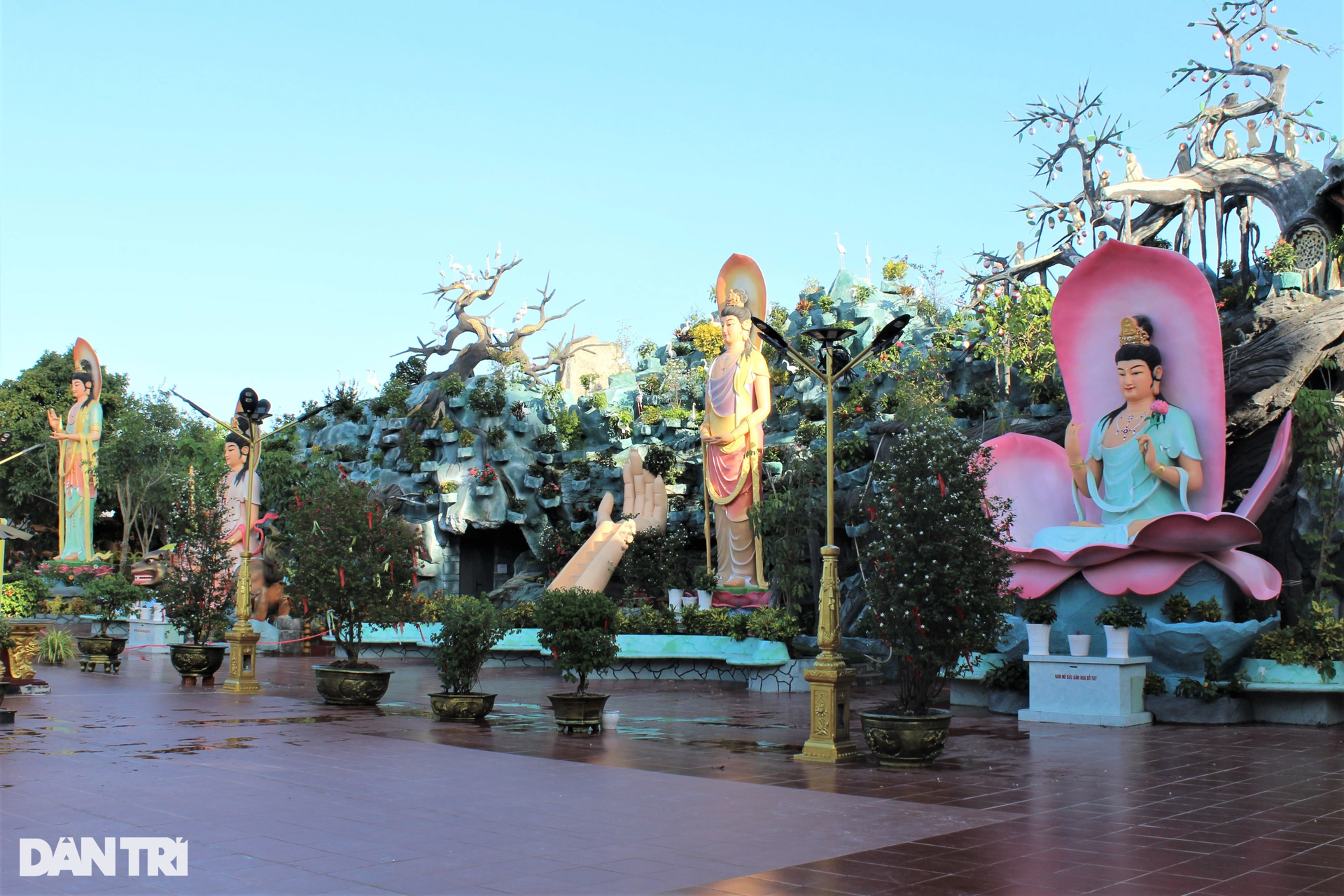 The temple is more than 100 years old, has a beautiful scene like a fairyland in Bac Lieu - 7