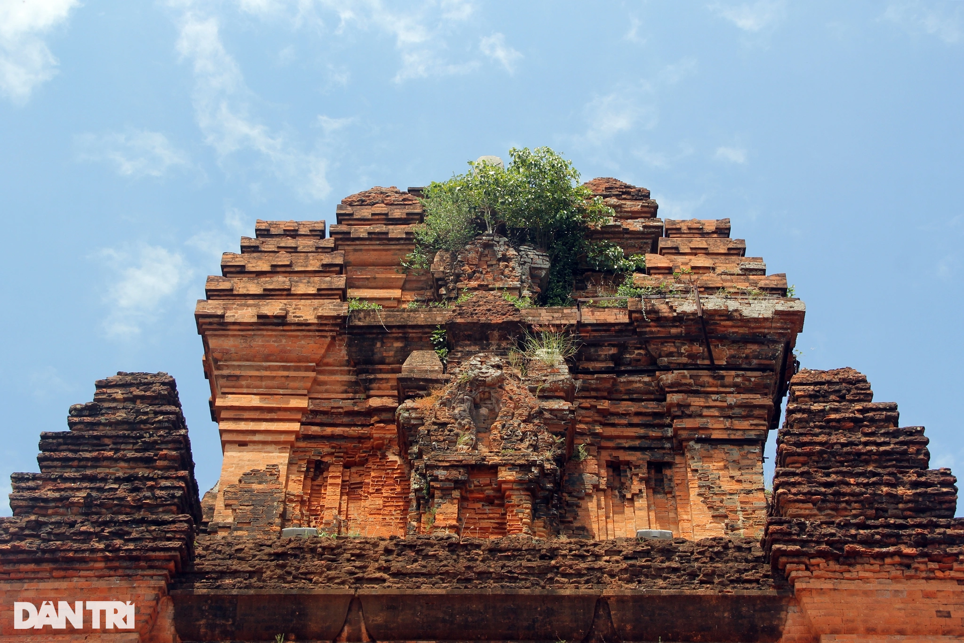 Thousand-year-old Nhan Tower hides many mysteries in Phu Yen - 7