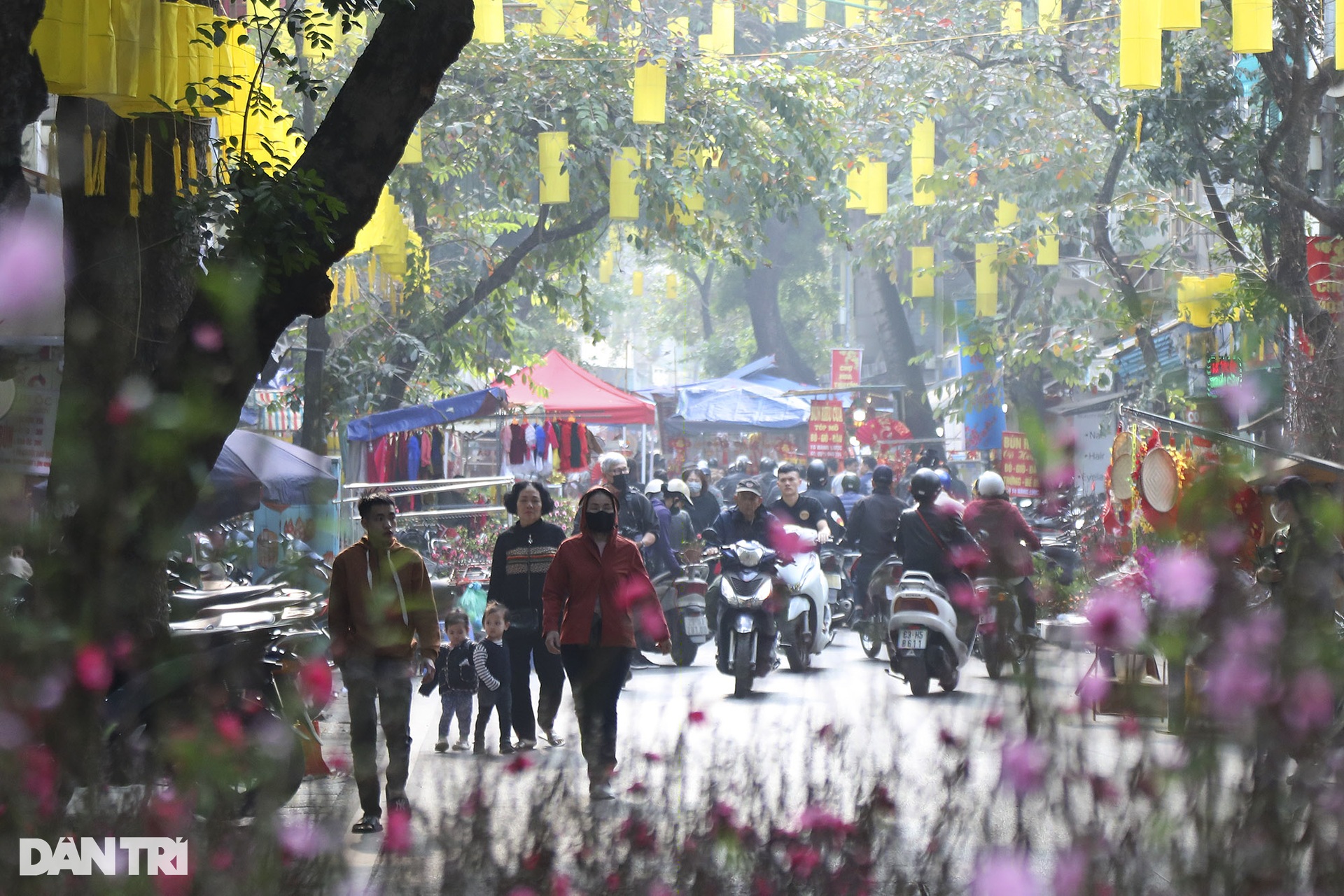 The vibrant flower market meets only once a year - 1