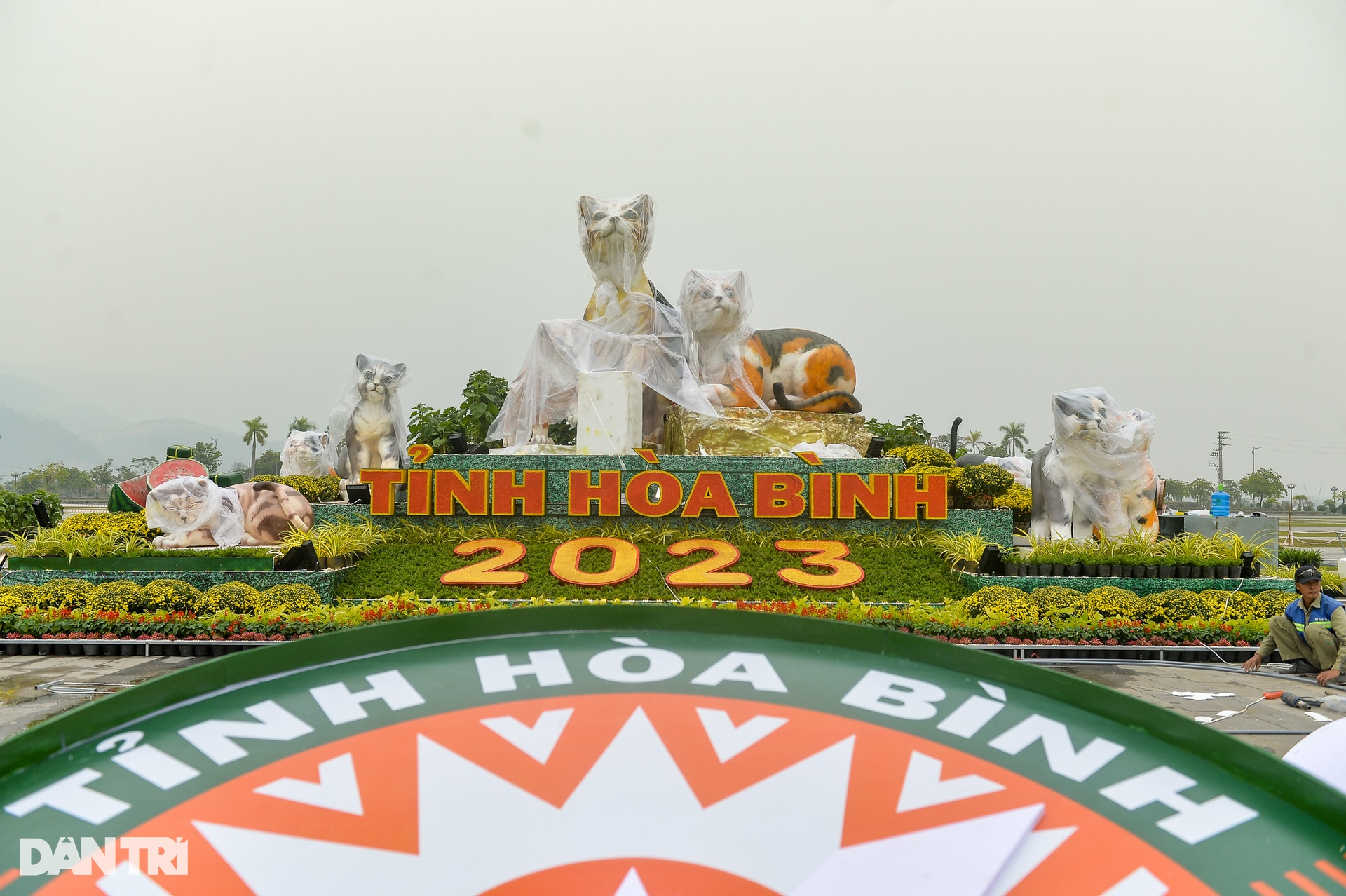 The cat mascot family greets the Spring of the Rabbit 2023 in Hoa Binh - 2