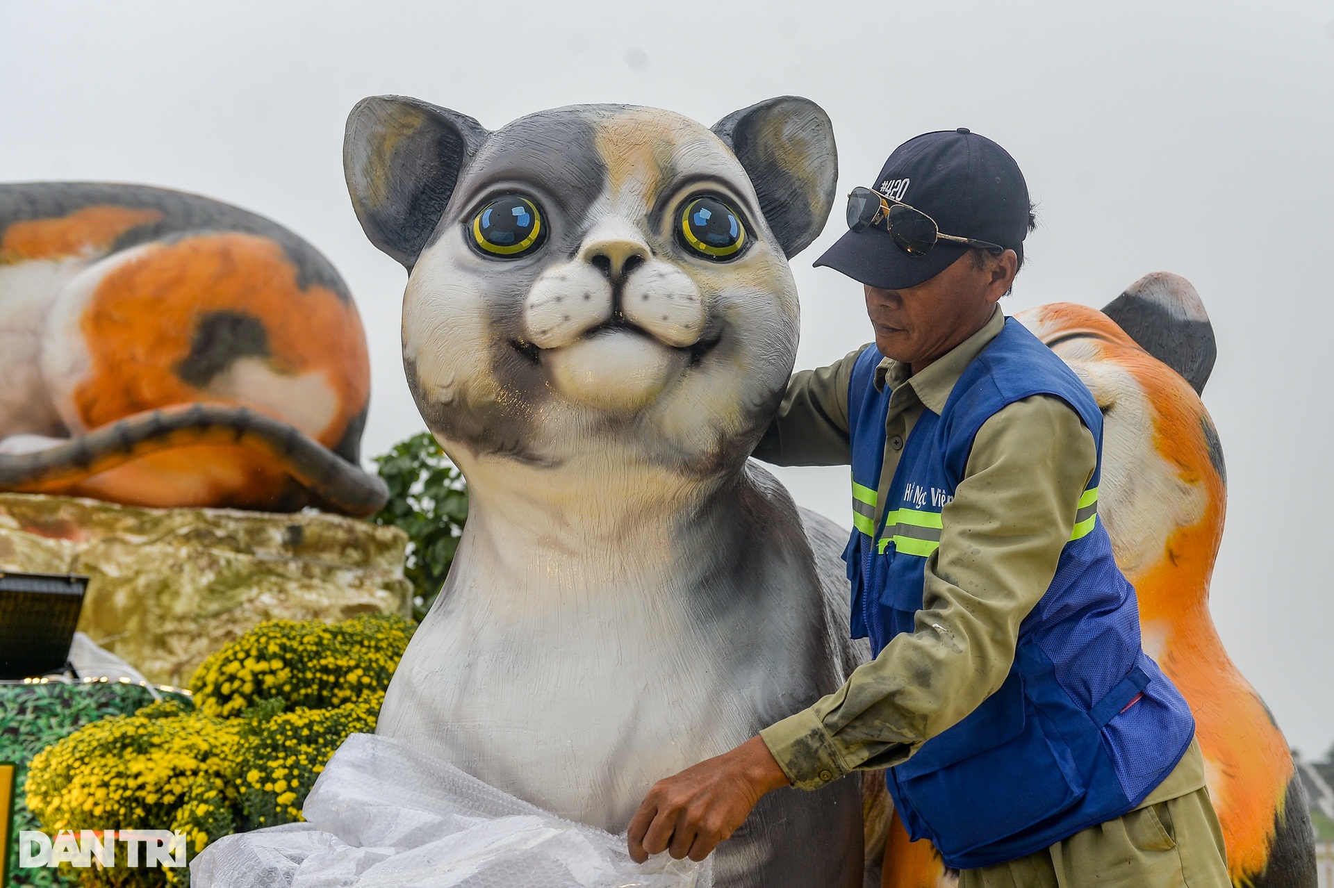 The cat mascot family greets the Spring of the Rabbit 2023 in Hoa Binh - 10