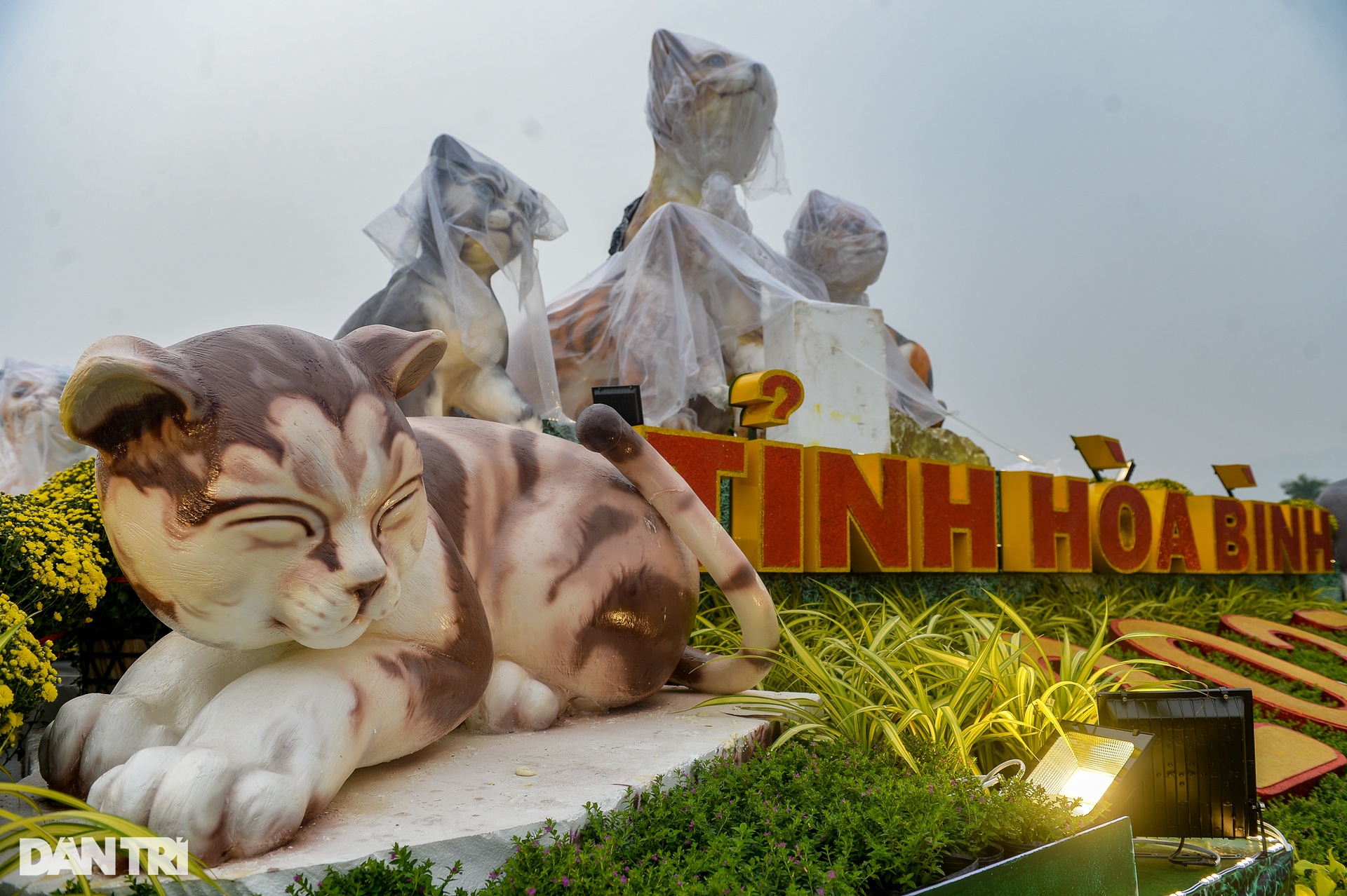 The cat mascot family greets the Lunar New Year 2023 in Hoa Binh - 6
