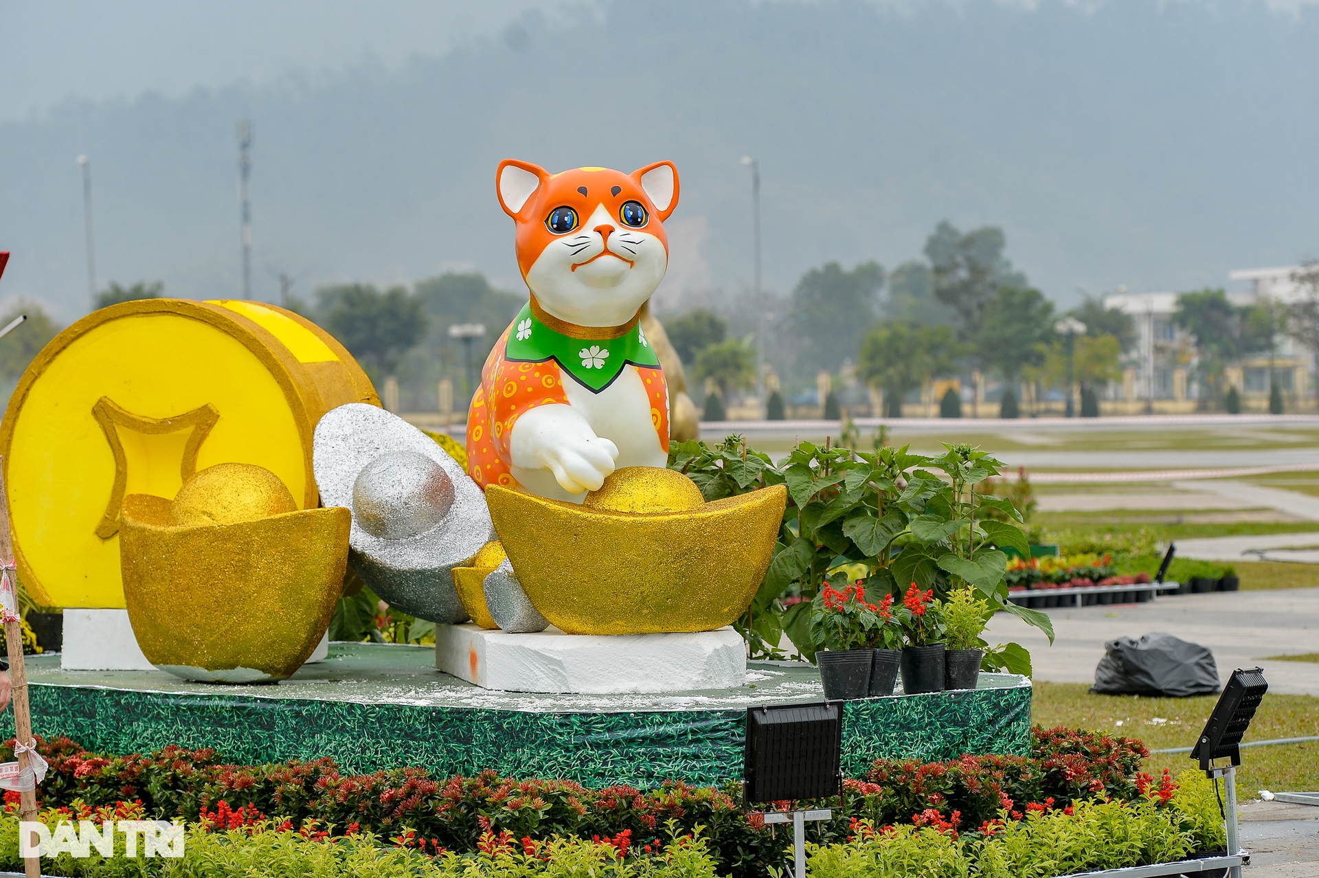 The cat mascot family greets the Spring of the Rabbit 2023 in Hoa Binh - 11