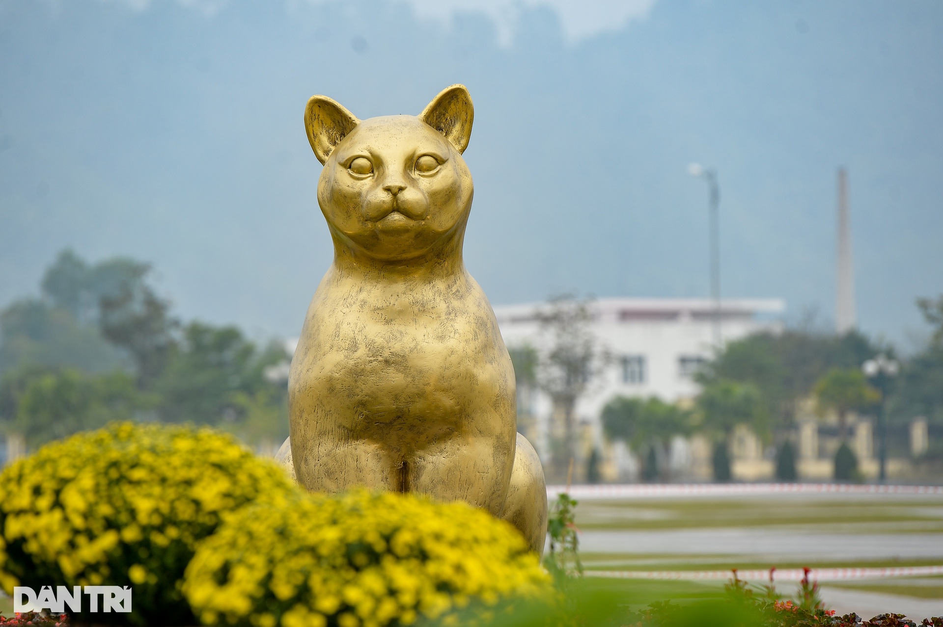 The cat mascot family greets the Lunar New Year 2023 in Hoa Binh - 9