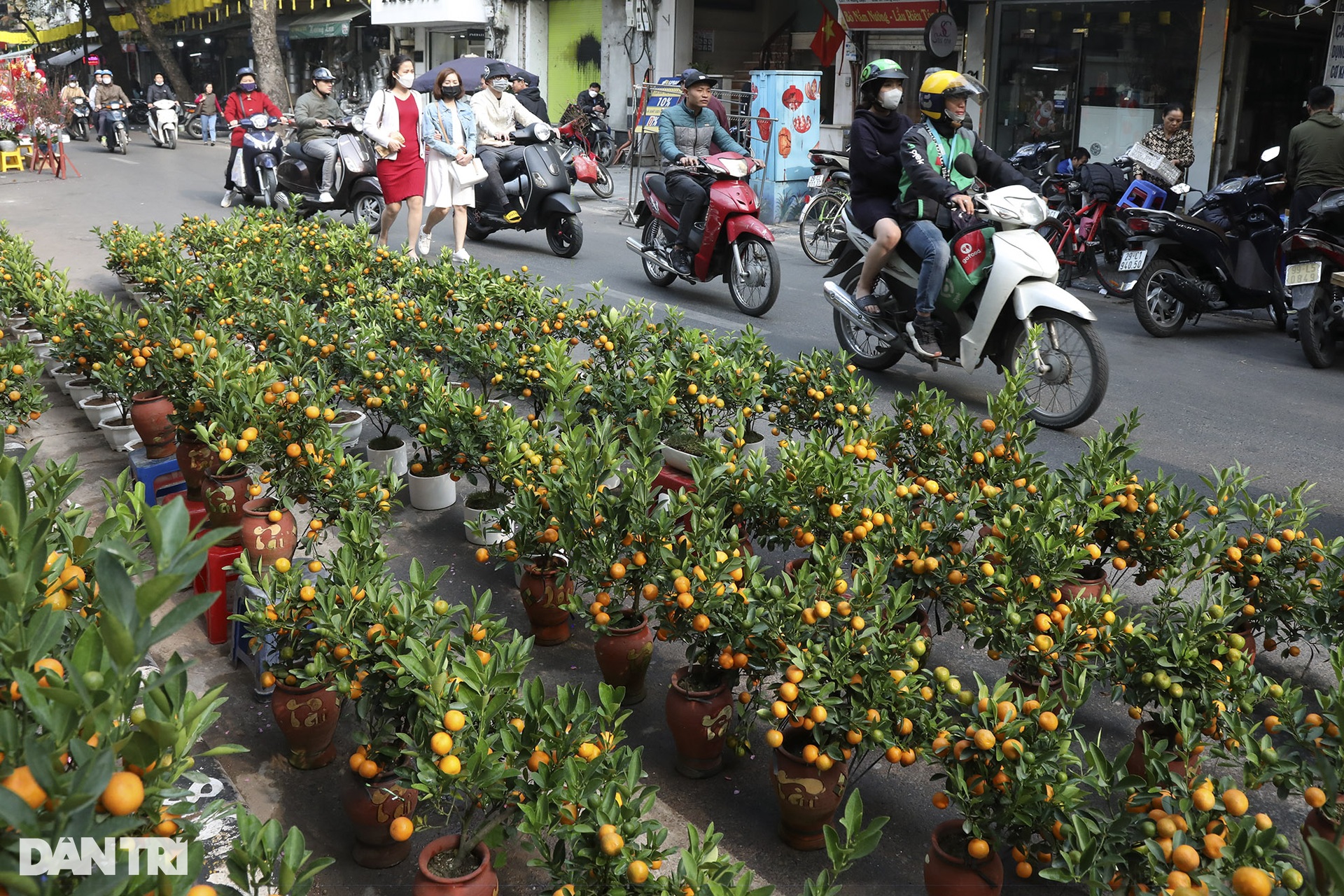 The vibrant flower market meets only once a year - 6