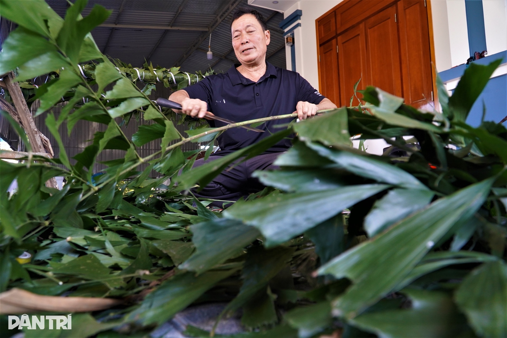 Big profit with anti-evil tree making service - 3 Big profit with anti-evil tree making service - 3