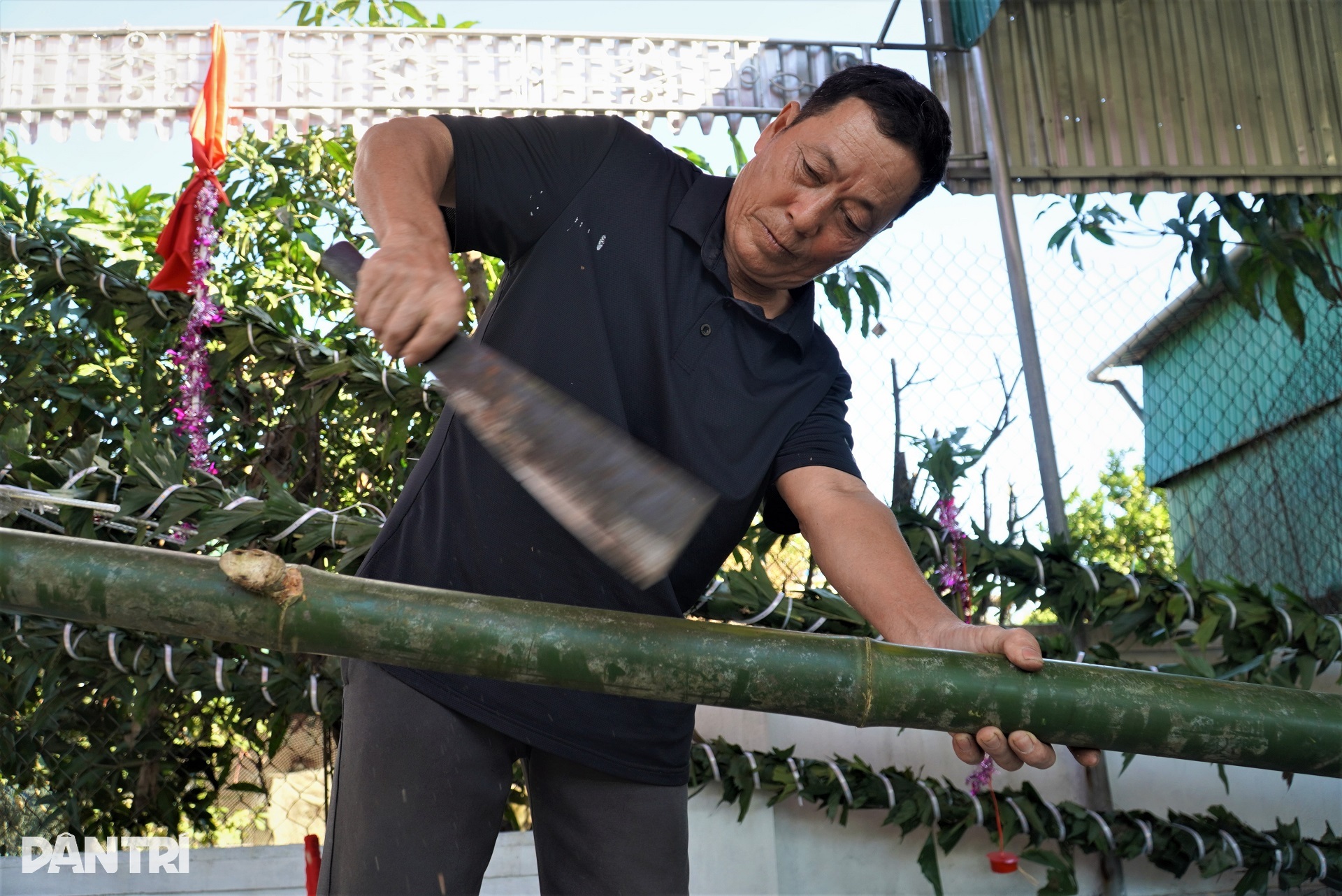 Big profit with anti-evil tree making service - 4 Big profit with anti-evil tree making service - 4