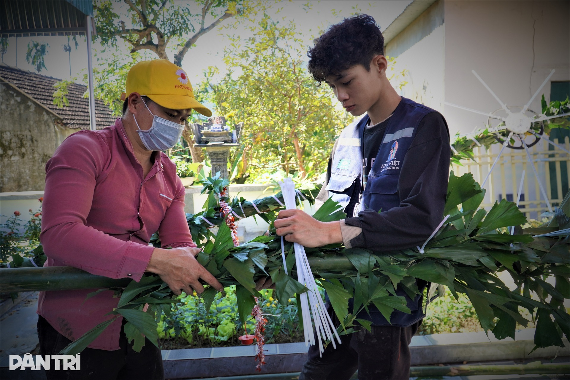 Big profit with anti-evil tree making service - 5 Big profit with anti-evil tree making service - 5
