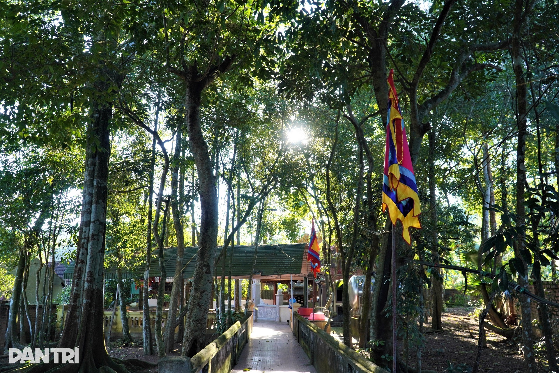 Strangely, the sacred stone was built by the whole village to pray for good luck in Ha Tinh - 3