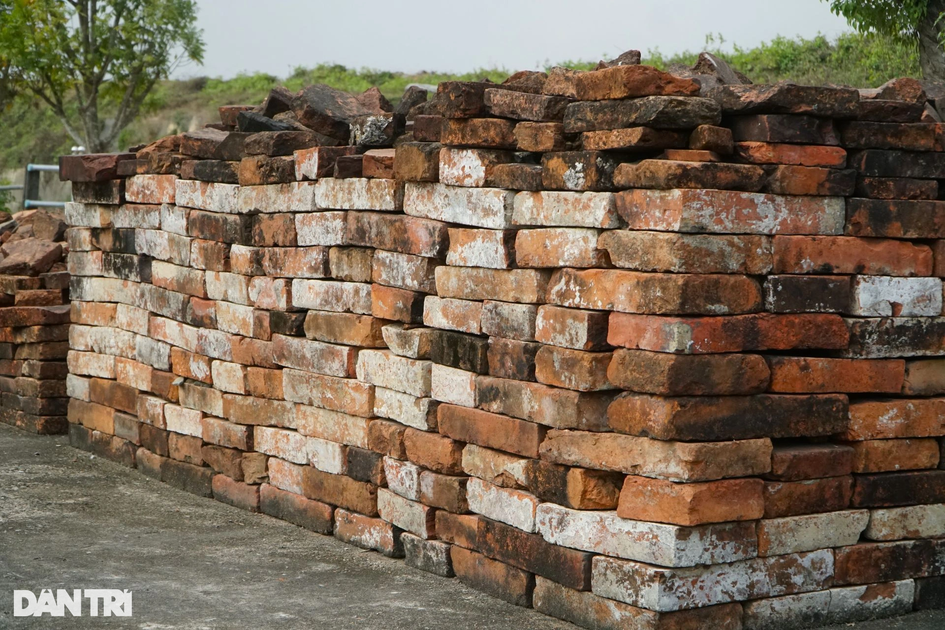 Kho cổ vật tại kinh thành bằng đá độc nhất vô nhị Việt Nam - 9