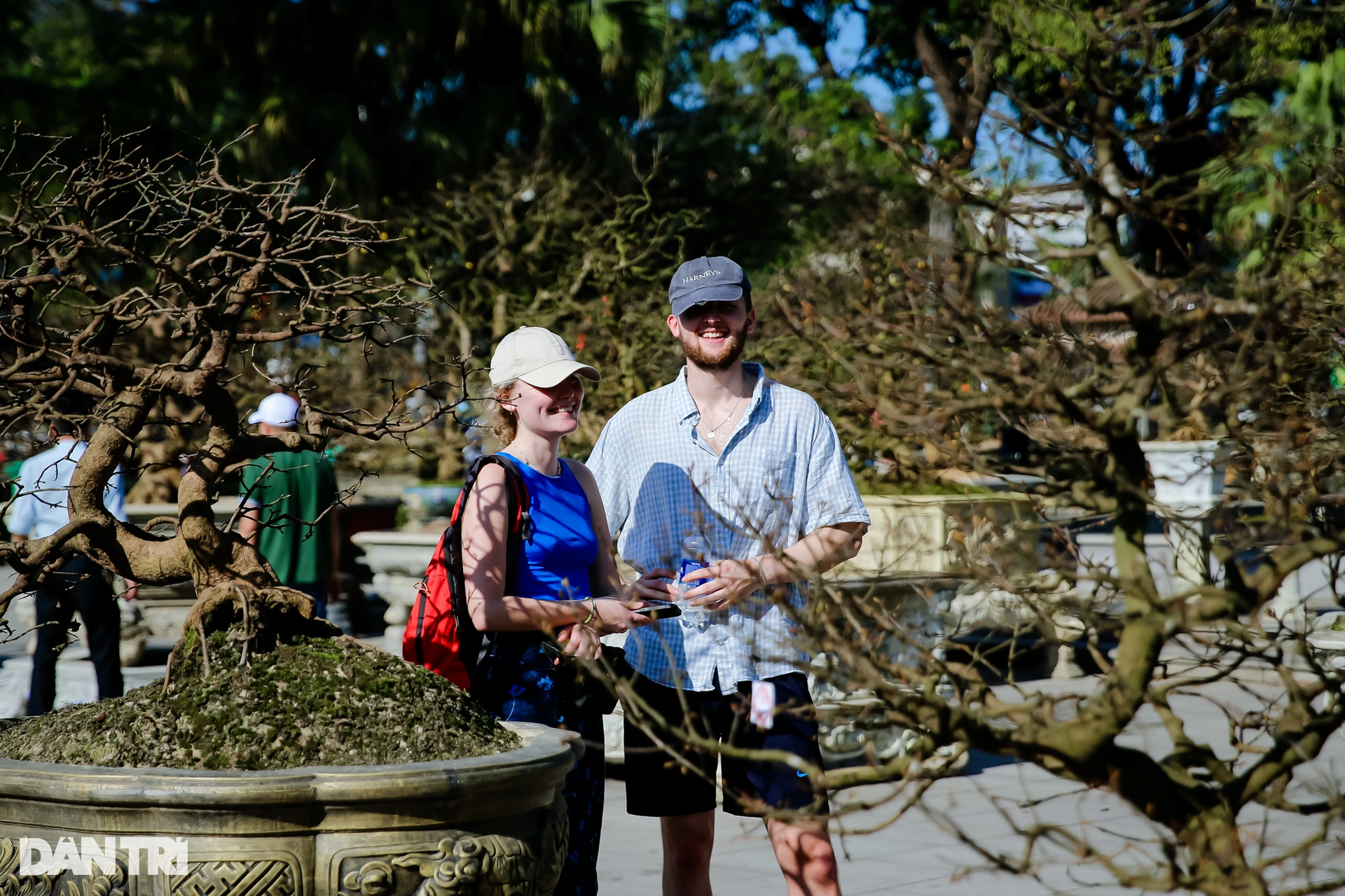 Admire the unique ancient apricot trees at the Hoang Mai festival in Hue - 14