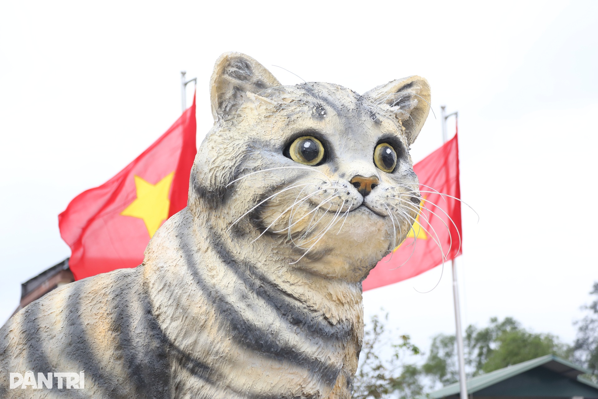 Chiêm ngưỡng linh vật mèo Tết Quý Mão siêu đáng yêu được dân mạng trầm trồ - 5 Chiêm ngưỡng linh vật mèo Tết Quý Mão siêu đáng yêu được dân mạng trầm trồ - 5