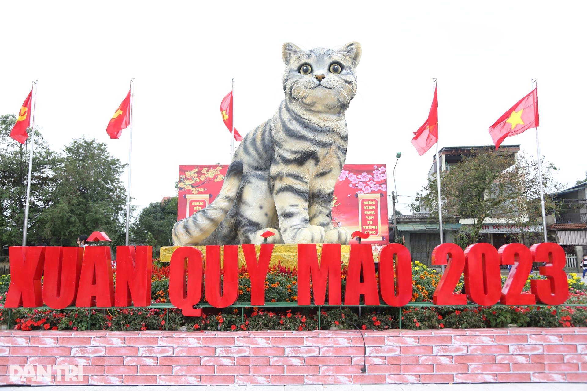 Chiêm ngưỡng linh vật mèo Tết Quý Mão siêu đáng yêu được dân mạng trầm trồ - 1 Chiêm ngưỡng linh vật mèo Tết Quý Mão siêu đáng yêu được dân mạng trầm trồ - 1