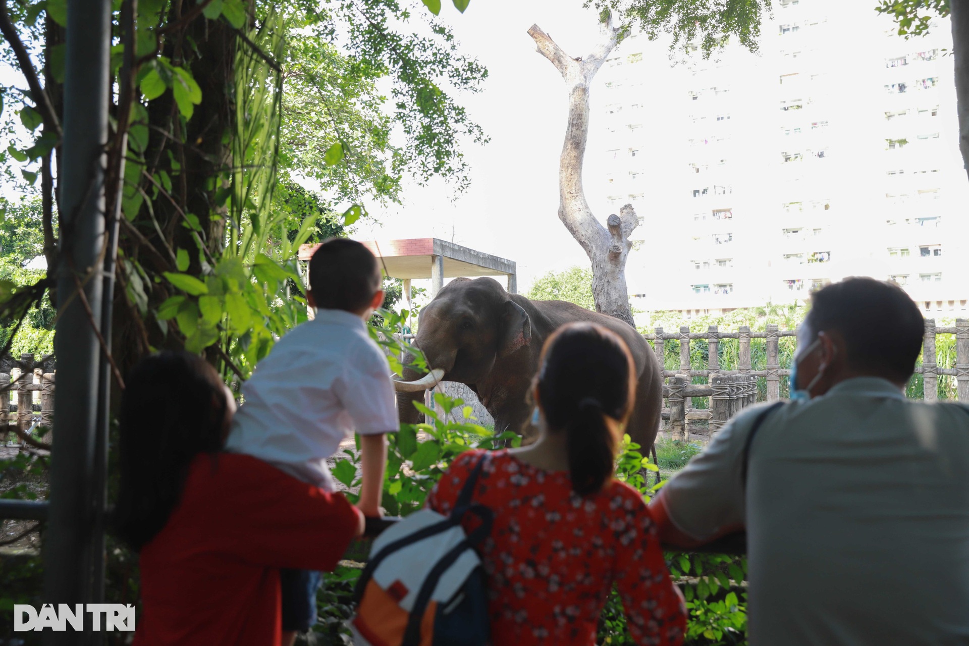 Biển người đổ về Thảo Cầm Viên trải bạt, mắc võng vui chơi mùng 2 Tết - 4 Biển người đổ về Thảo Cầm Viên trải bạt, mắc võng vui chơi mùng 2 Tết - 4