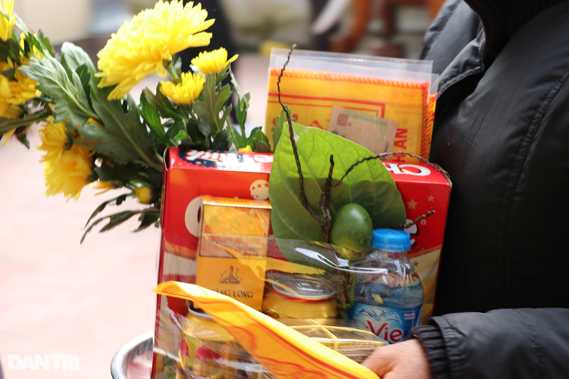 Làm giàu với loại cây bán vài nghìn đồng/lá, ra Tết là thời điểm "hốt bạc" - Ảnh 10. Làm giàu với loại cây bán vài nghìn đồng/lá, ra Tết là thời điểm "hốt bạc" - Ảnh 10.