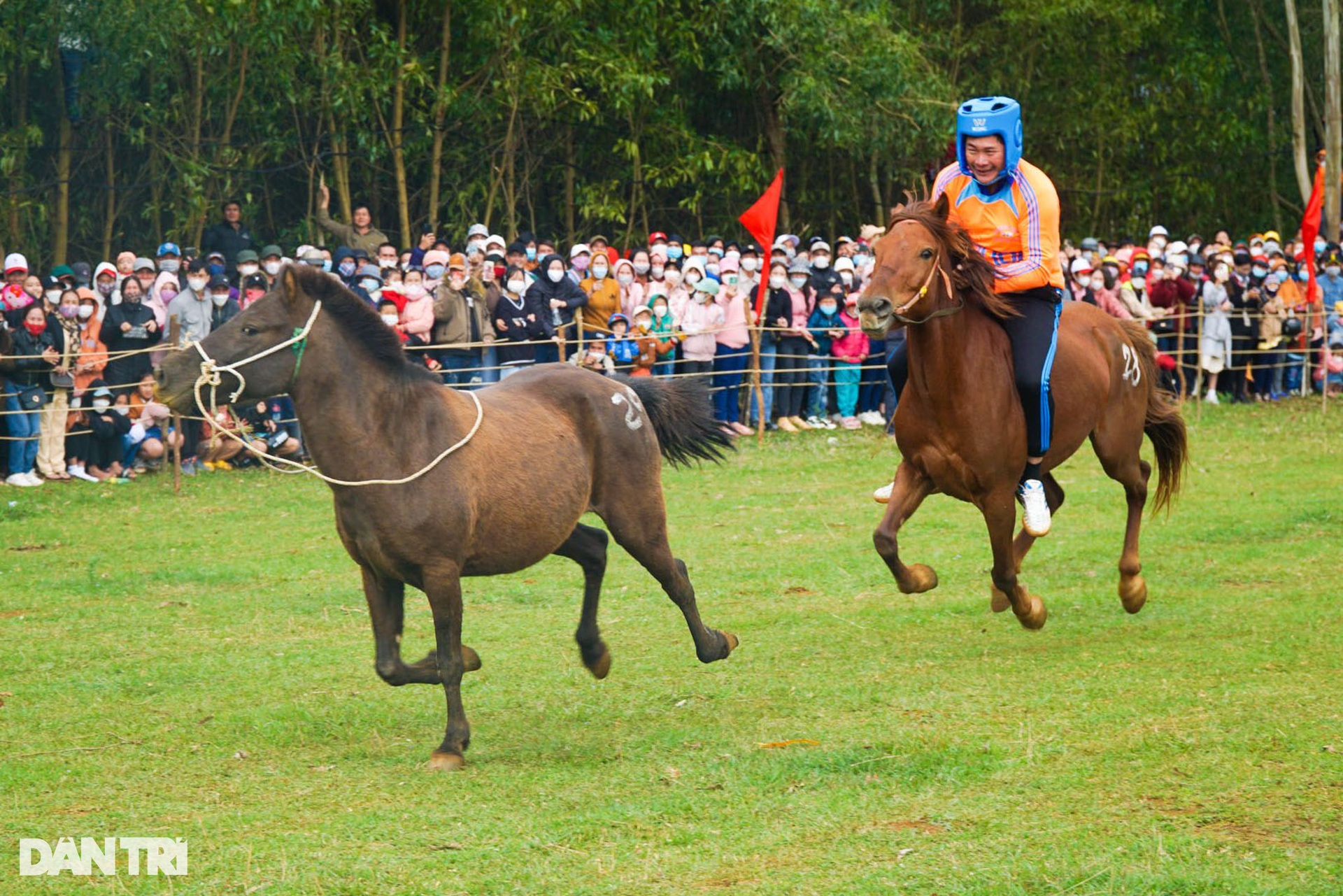 Thousands of people enjoy watching farmers race horses in Go Thi Thung festival - 5 Thousands of people enjoy watching farmers race horses in Go Thi Thung festival - 5