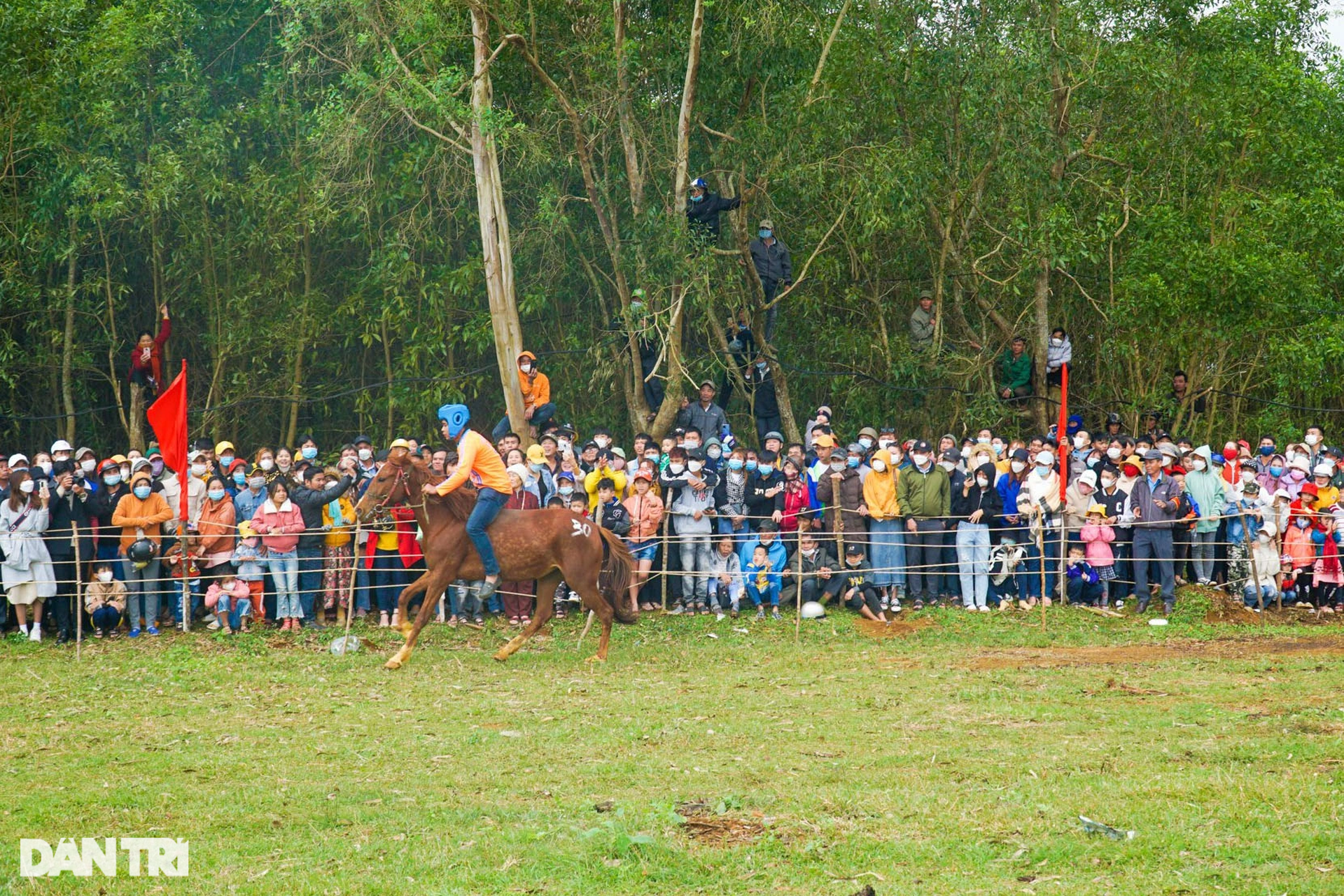 Thousands of people enjoy watching farmers race horses in Go Thi Thung festival - 7