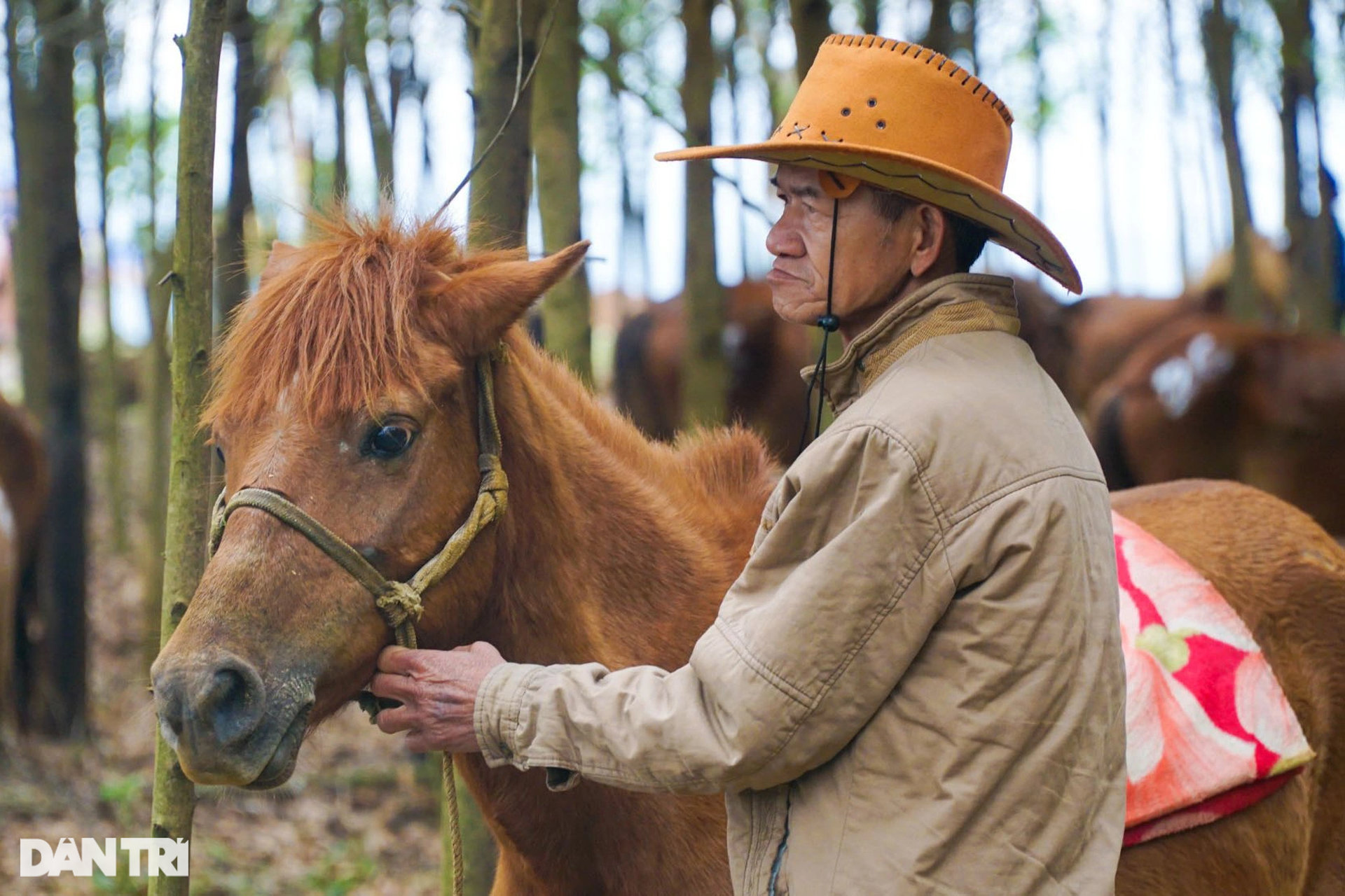 Thousands of people enjoy watching farmers race horses in Go Thi Thung festival - 3