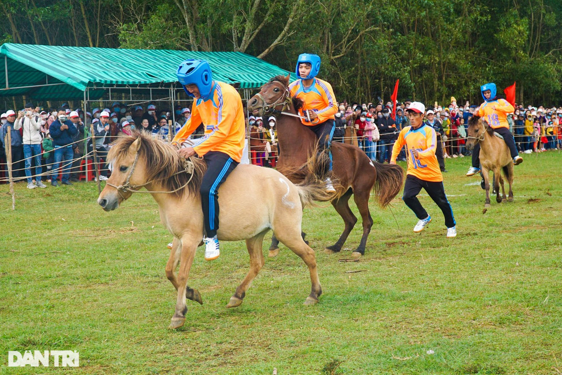 Thousands of people enjoy watching farmers race horses in Go Thi Thung festival - 4