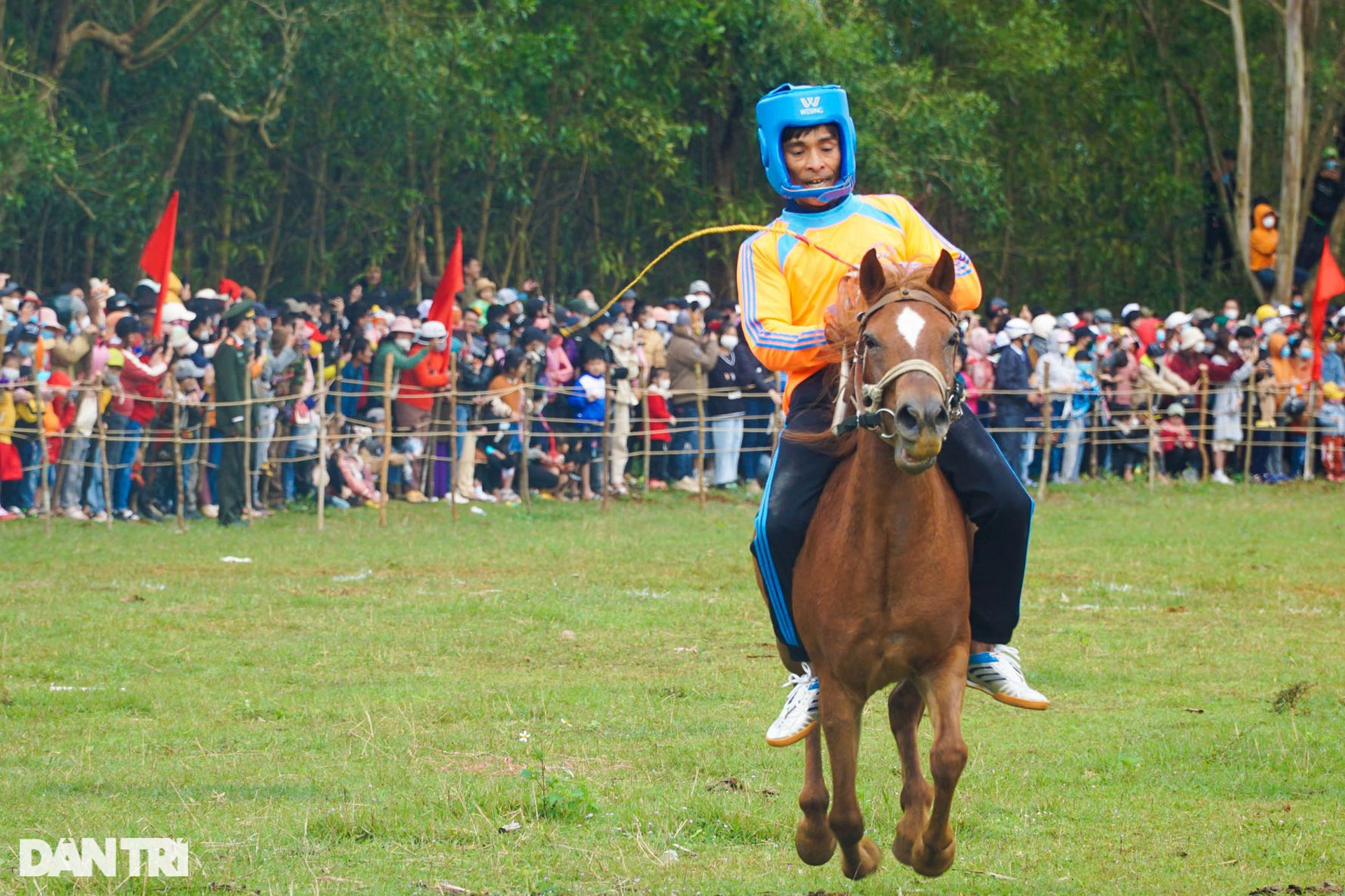 Thousands of people enjoy watching farmers race horses in Go Thi Thung festival - 9