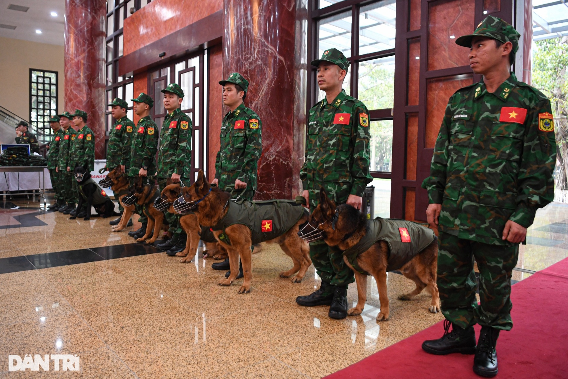 Dàn trang thiết bị chuyên dụng của quân đội Việt Nam sang Thổ Nhĩ Kỳ - 13