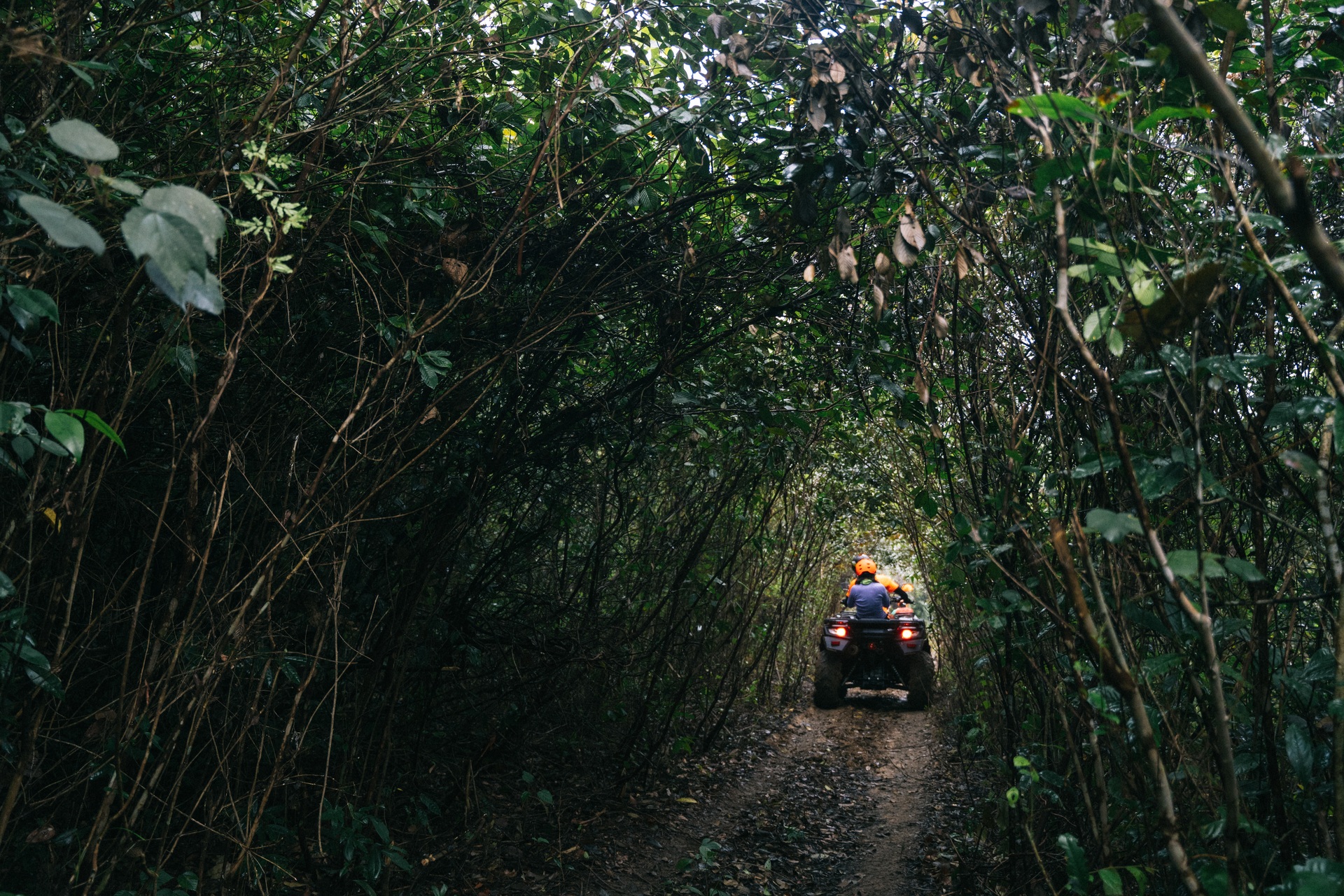  Độc đáo tour lái xe mạo hiểm giữa rừng, khám phá 