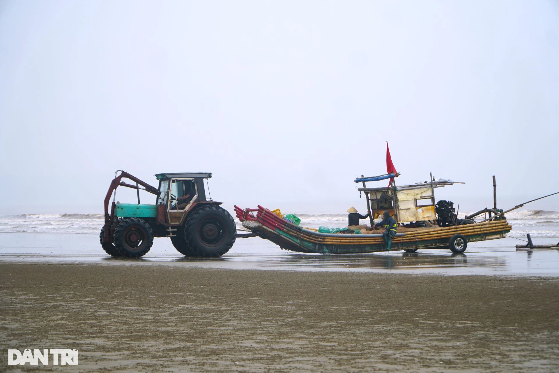 Mỏi tay gỡ cá trích, ngư dân kiếm nửa triệu đồng mỗi ngày - 6 Mỏi tay gỡ cá trích, ngư dân kiếm nửa triệu đồng mỗi ngày - 6