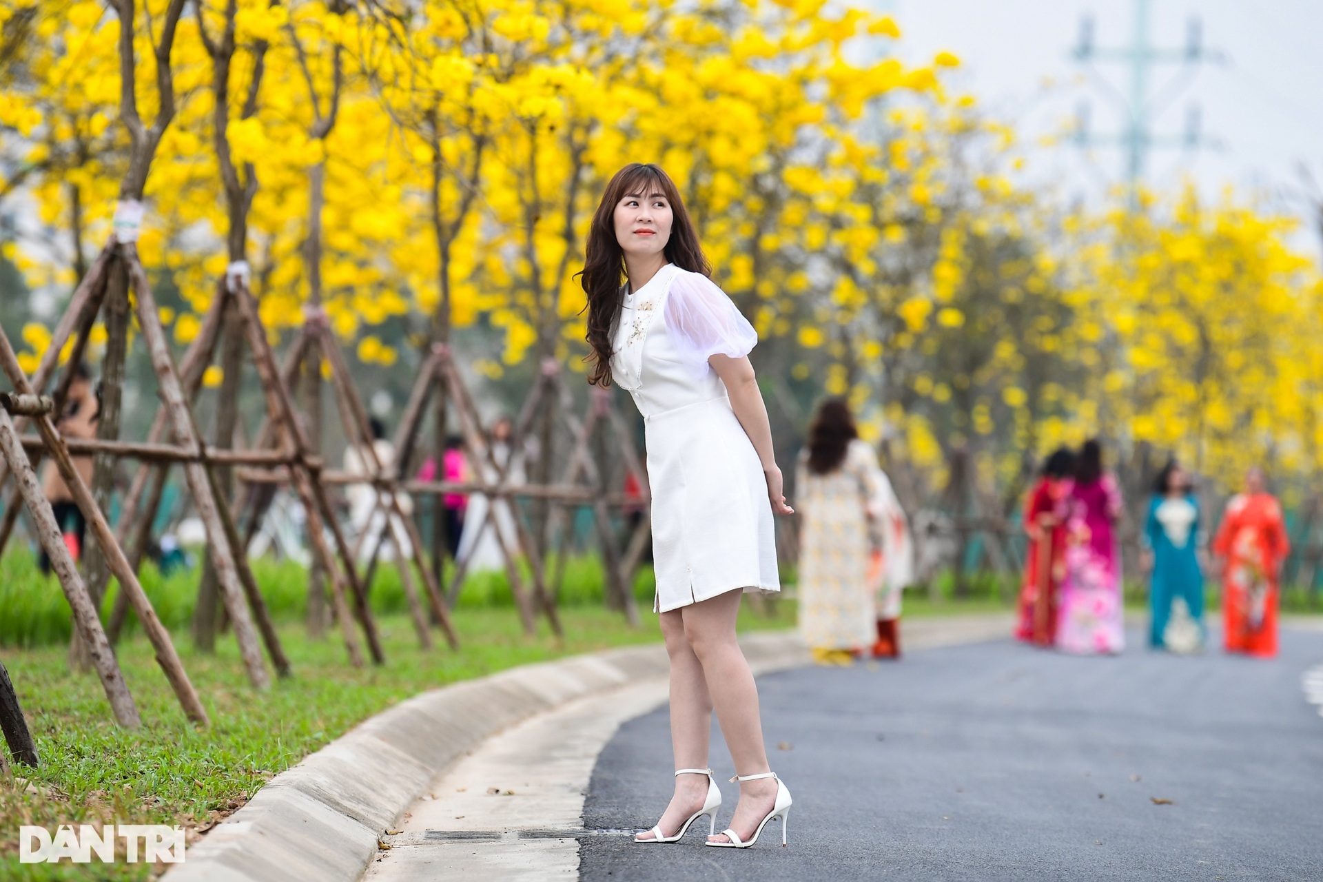 Cung đường hoa vàng nổi nhất Hà Nội thu hút đông người chụp ảnh, check-in - 6